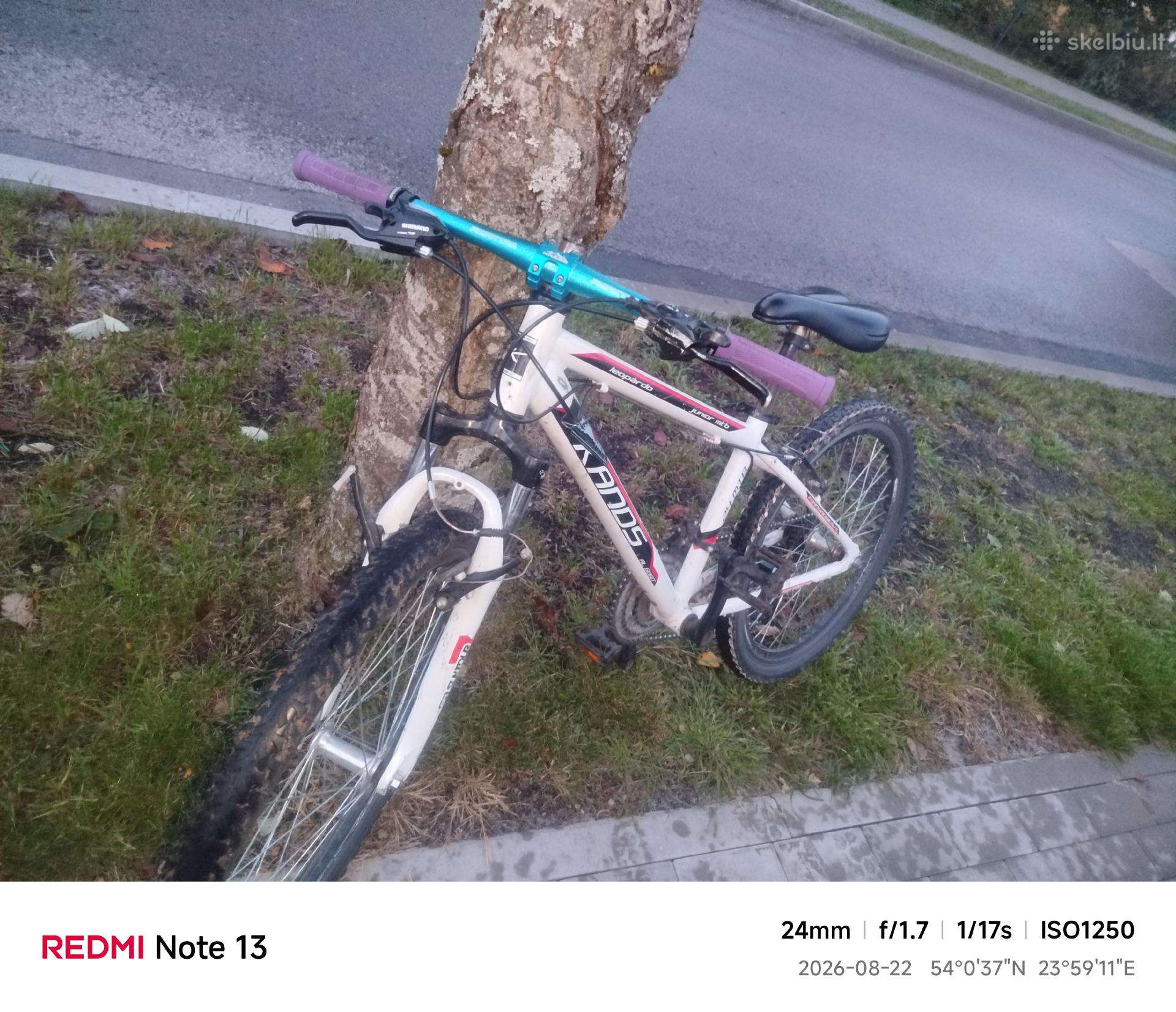 MTB dviratis su defektais