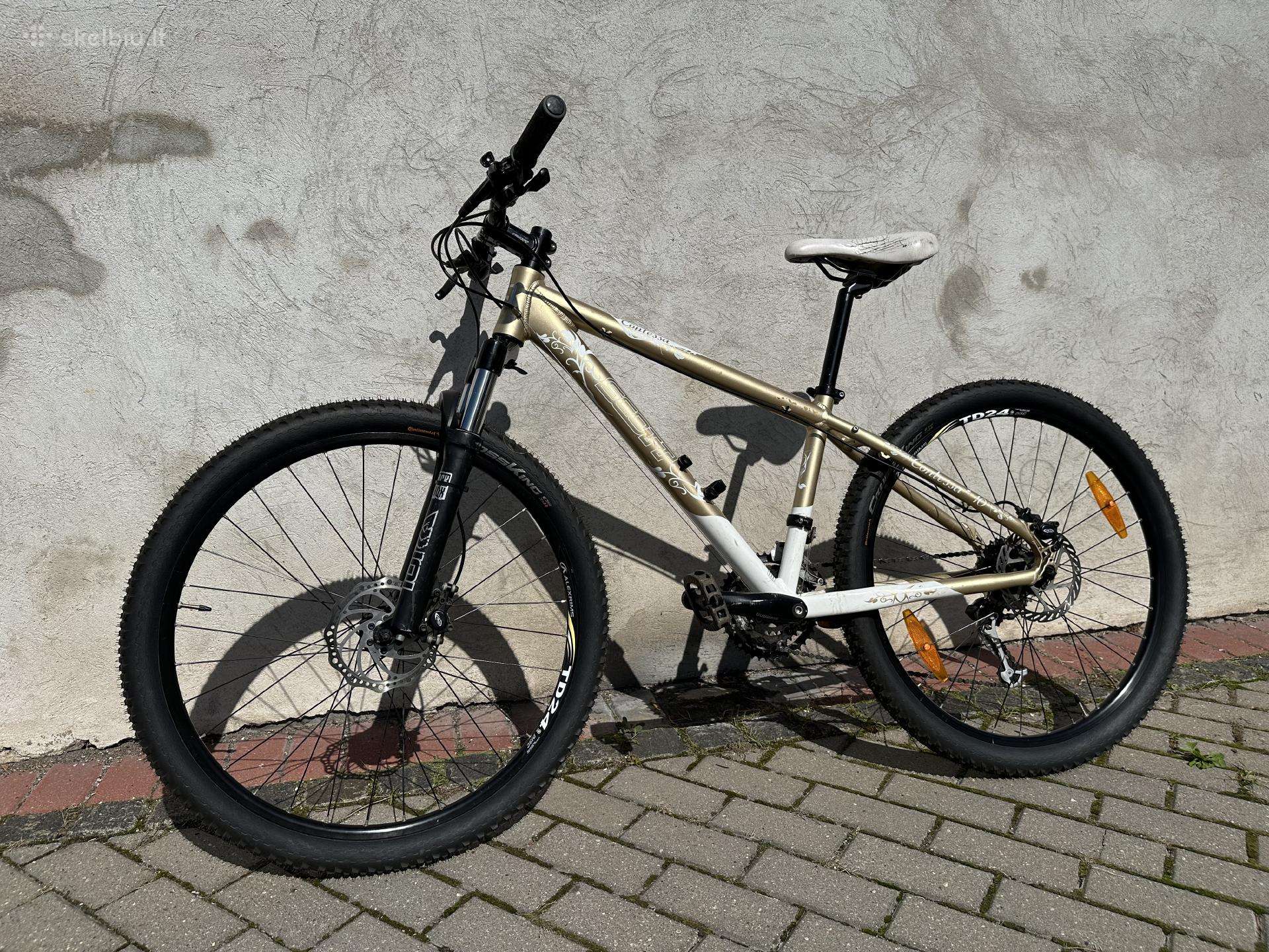 Kalnų dviratis Scott Contessa