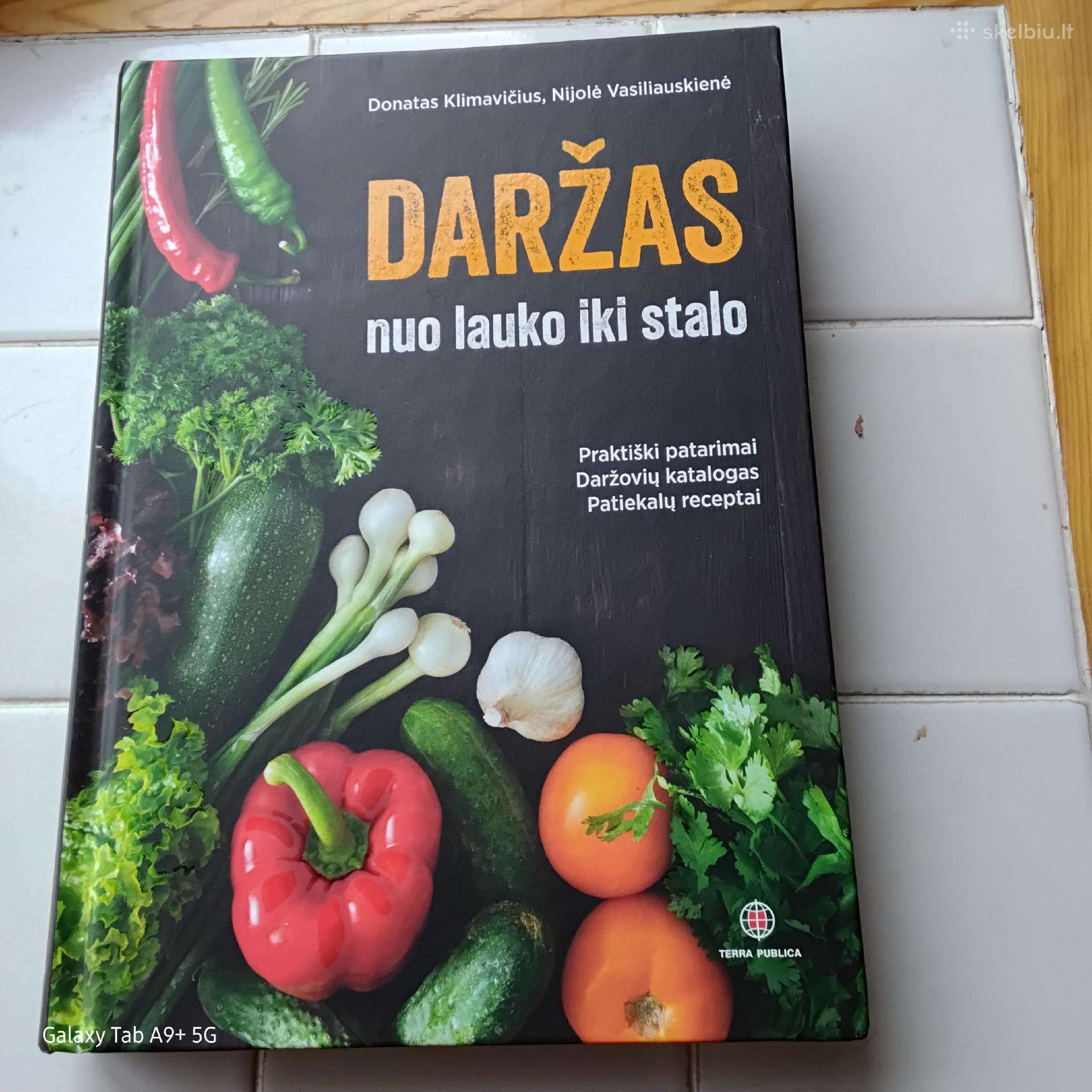 Daržas
