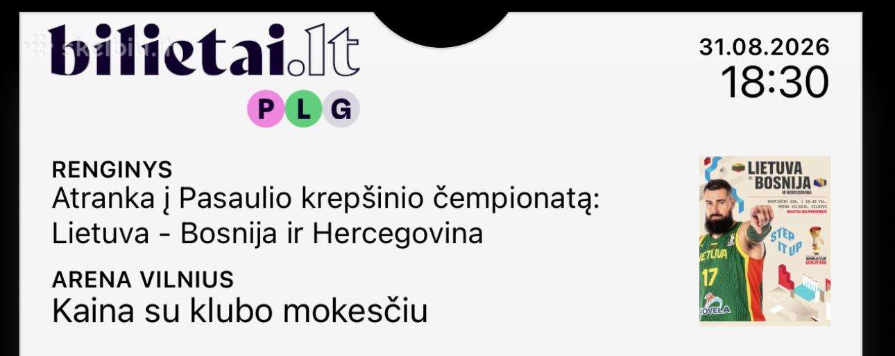 Lietuva - Bosnija ir Hercegovina Krepšinis