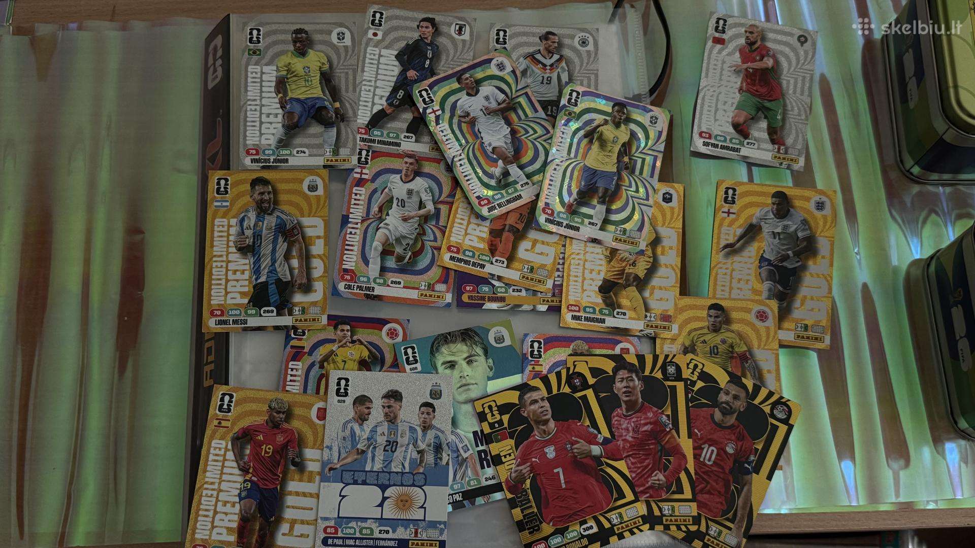 Panini Fifa World Cup kortelės