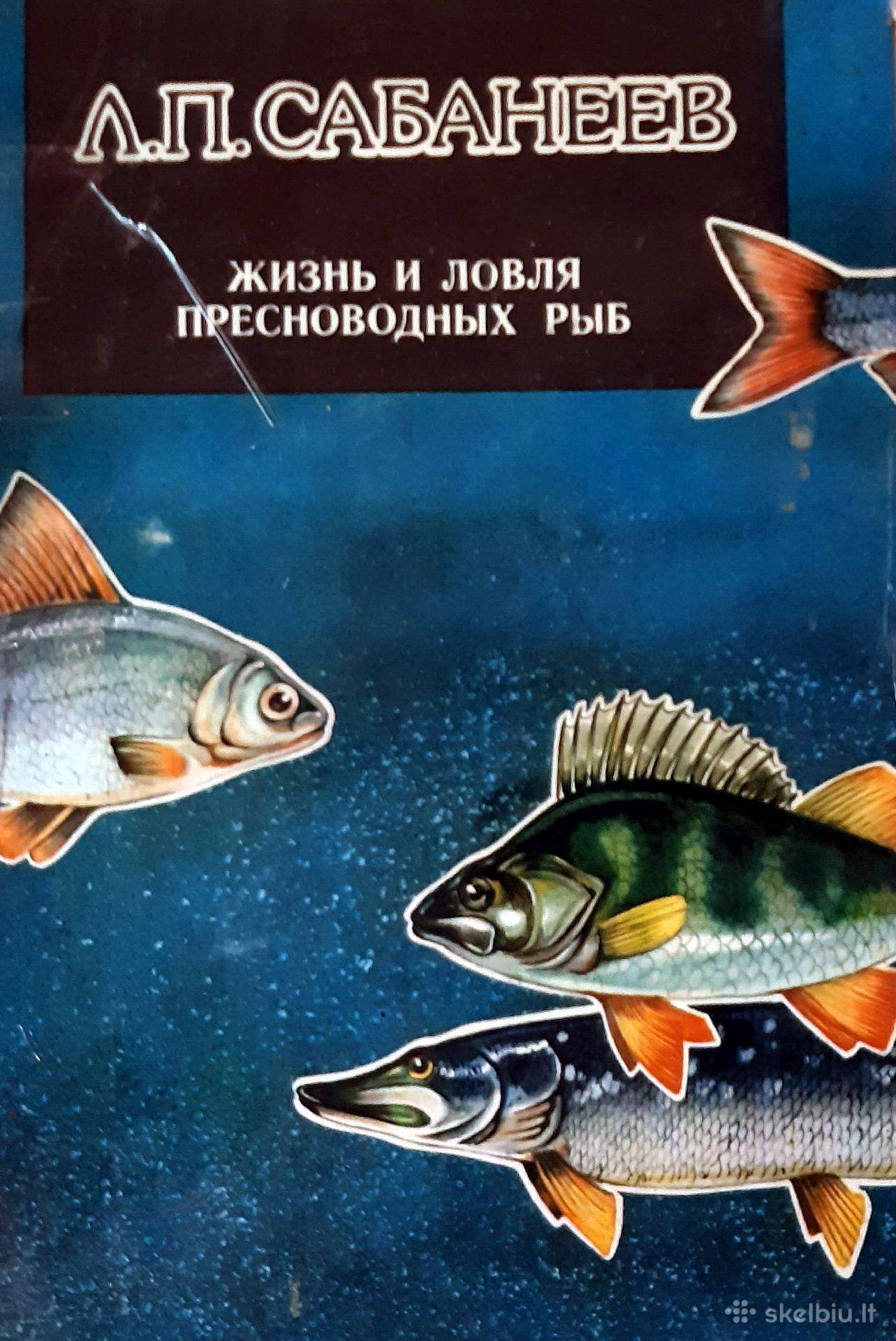 L.p.sabanejev - Gyvenimas ir zuklė