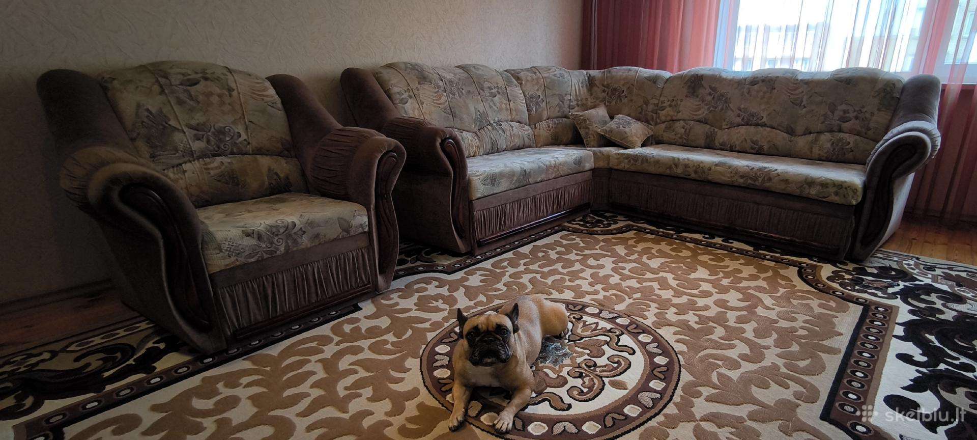 Kampinė sofa + fotelis