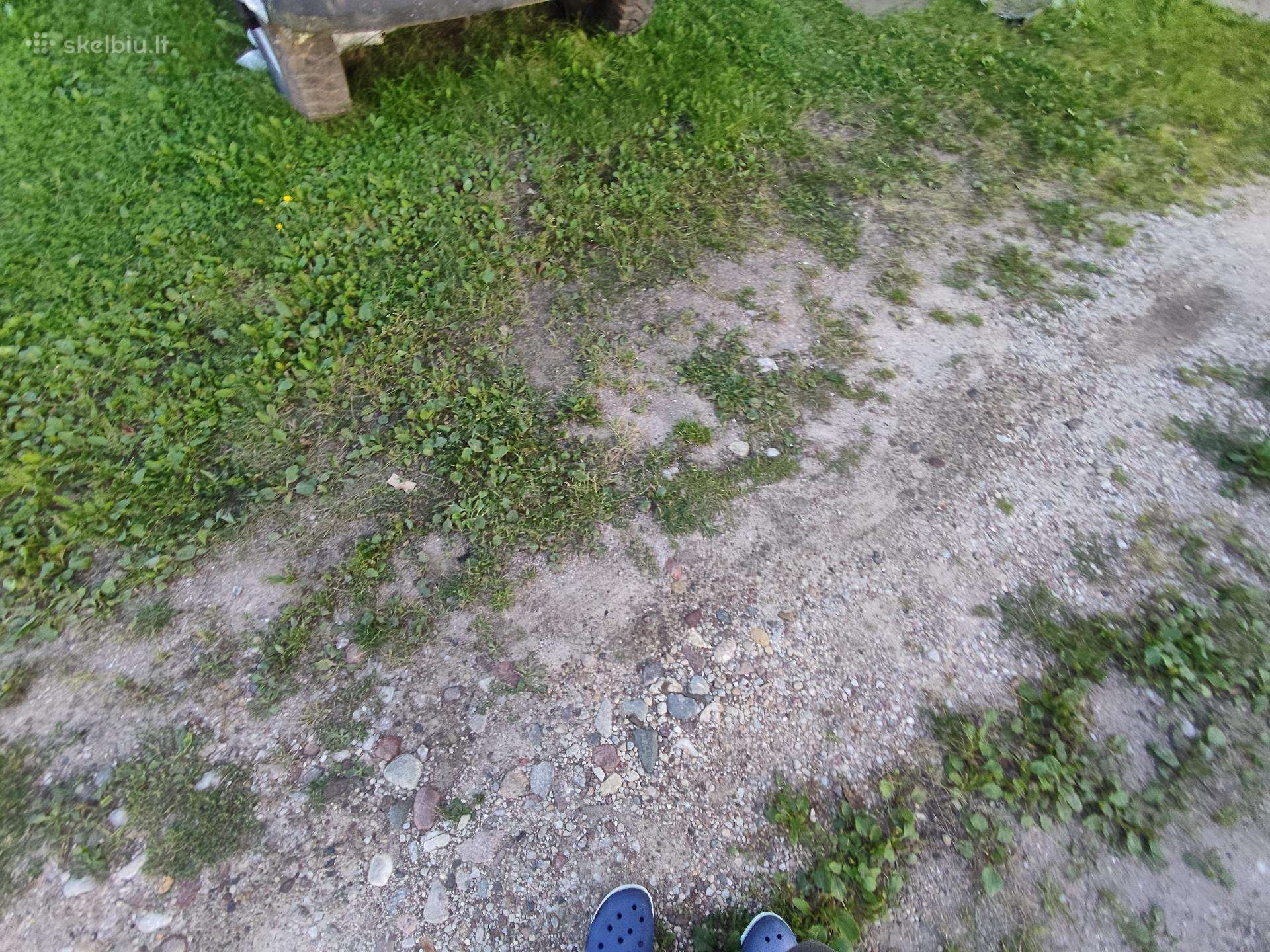 Trinkelės