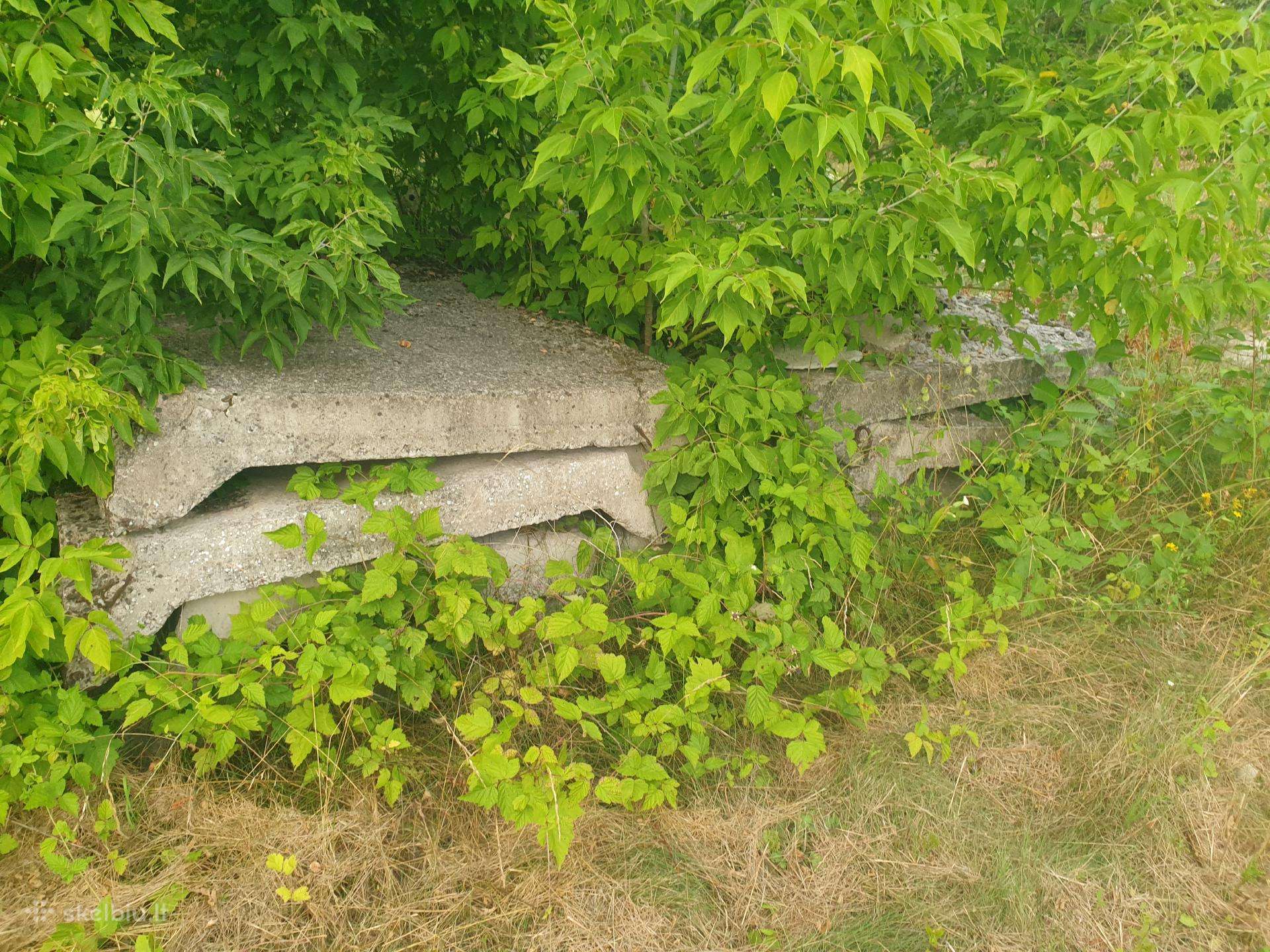 Dovanoju G/b plokštes