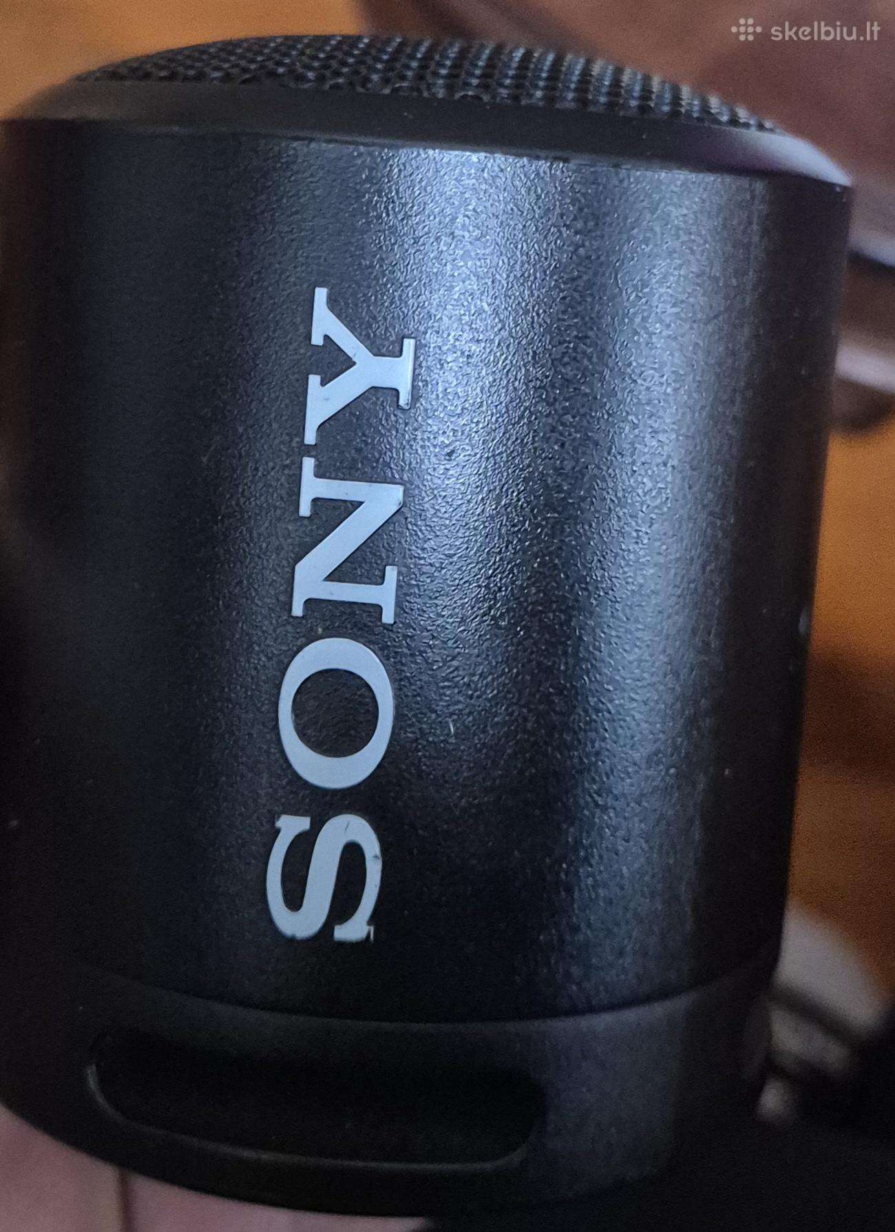 Sony kolonėlė