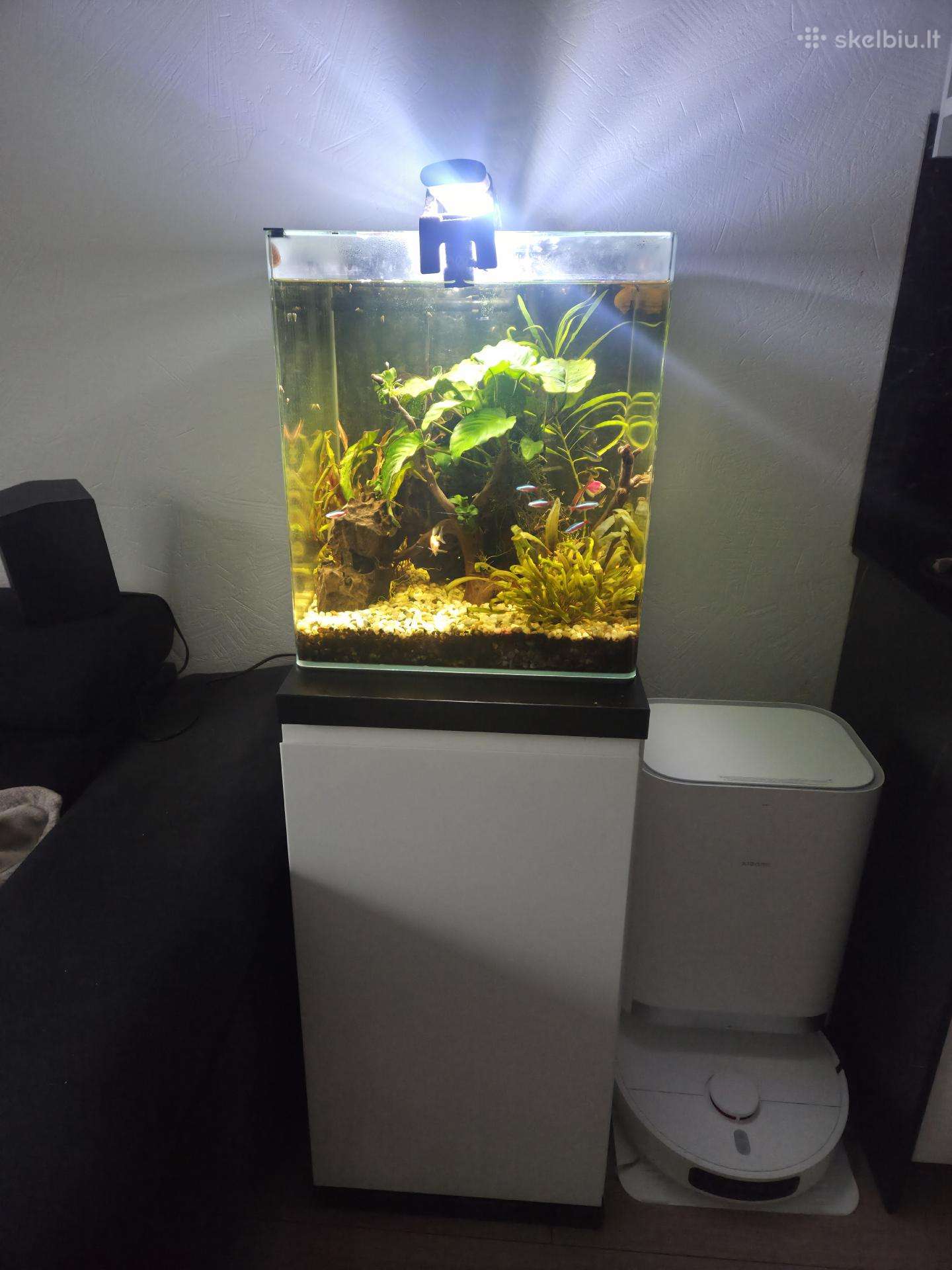 Akvariumas