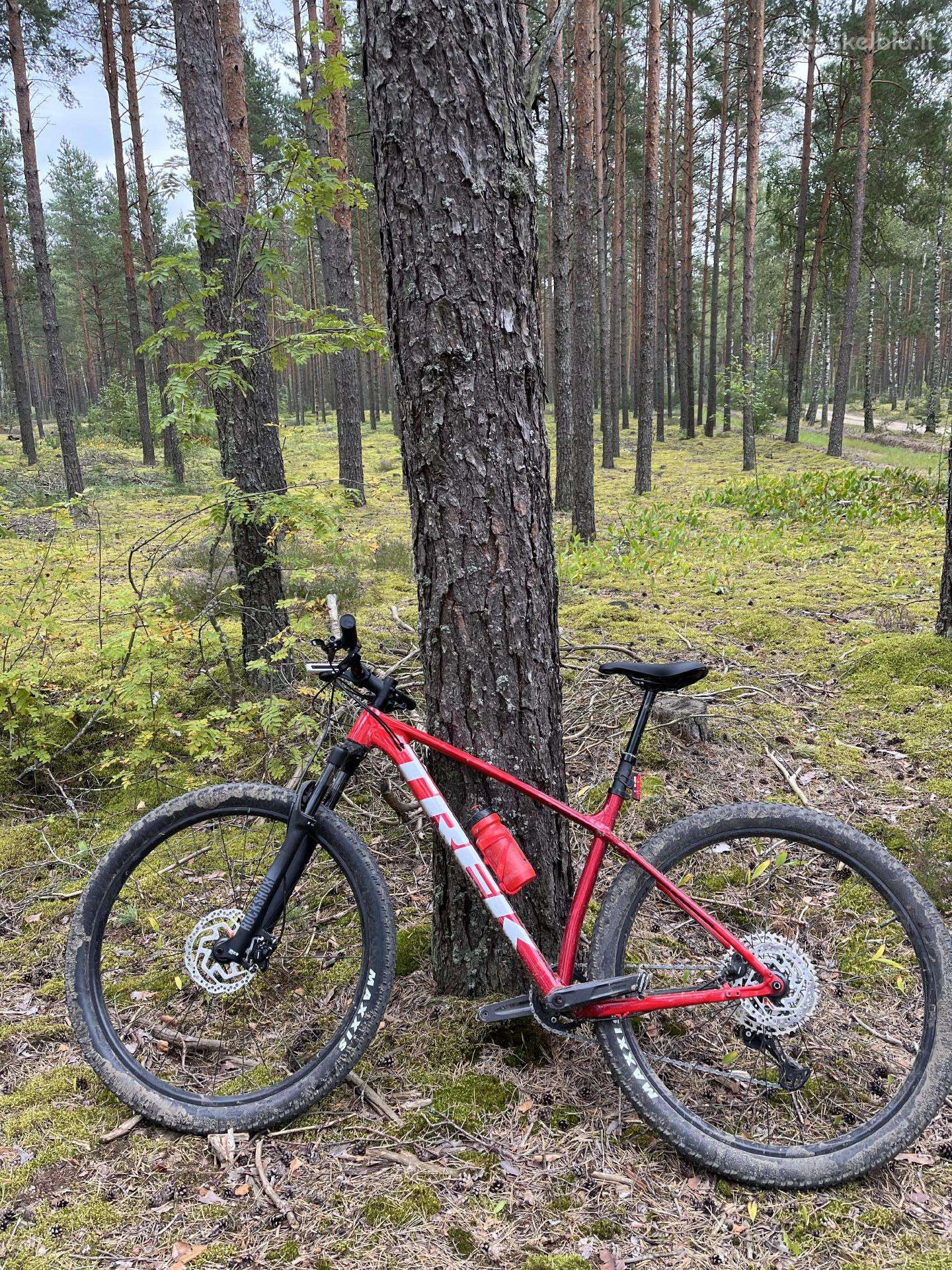 Trek procaliber 6