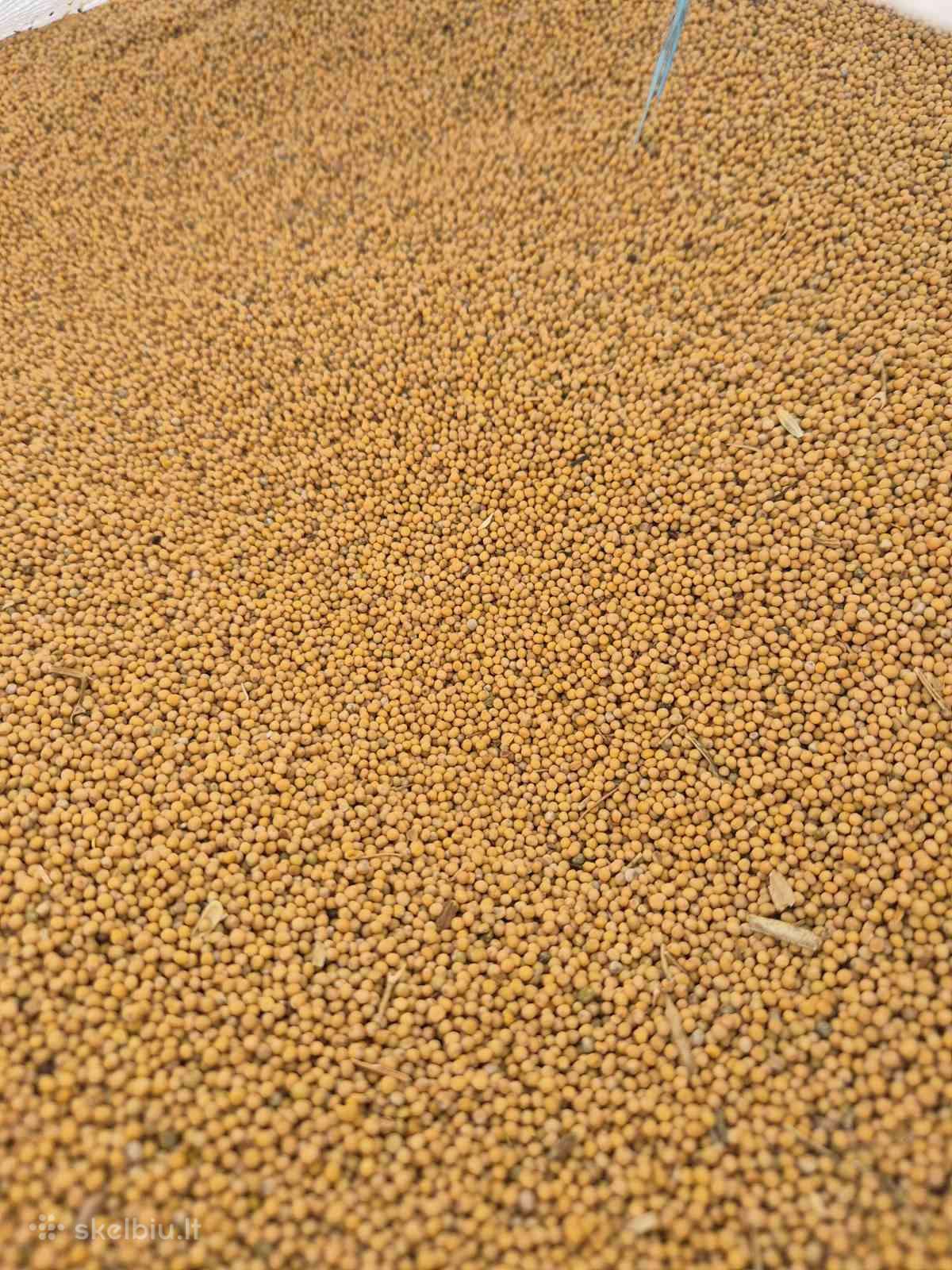 Garstycios 1000e/t big bag arba 25kg