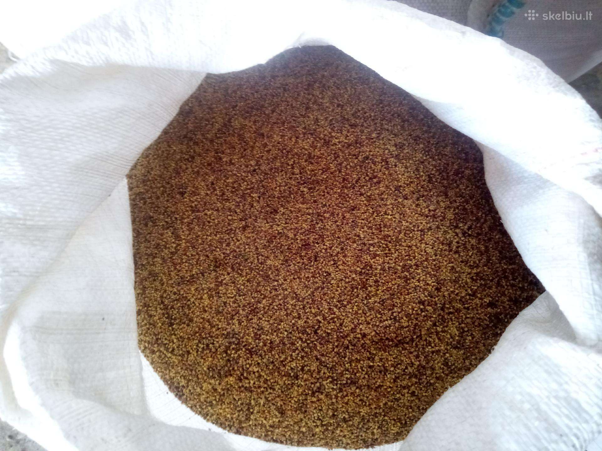 Raudonieji dobilai