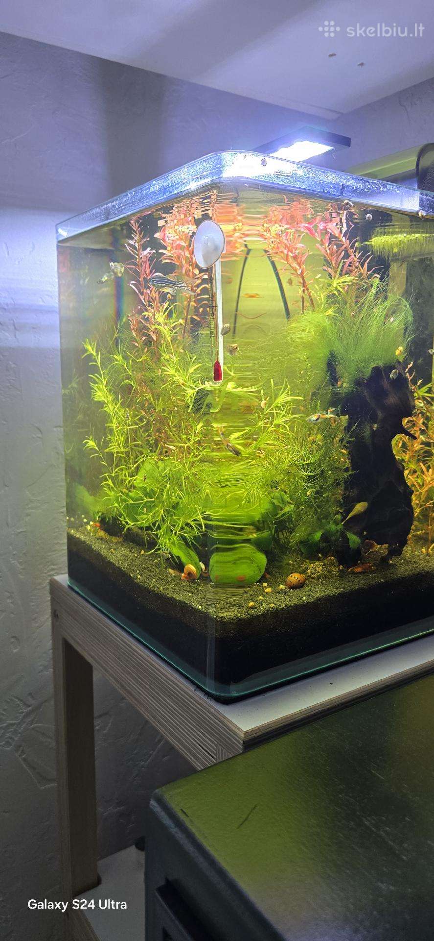 Dennerle nano cube 20l akvariumas