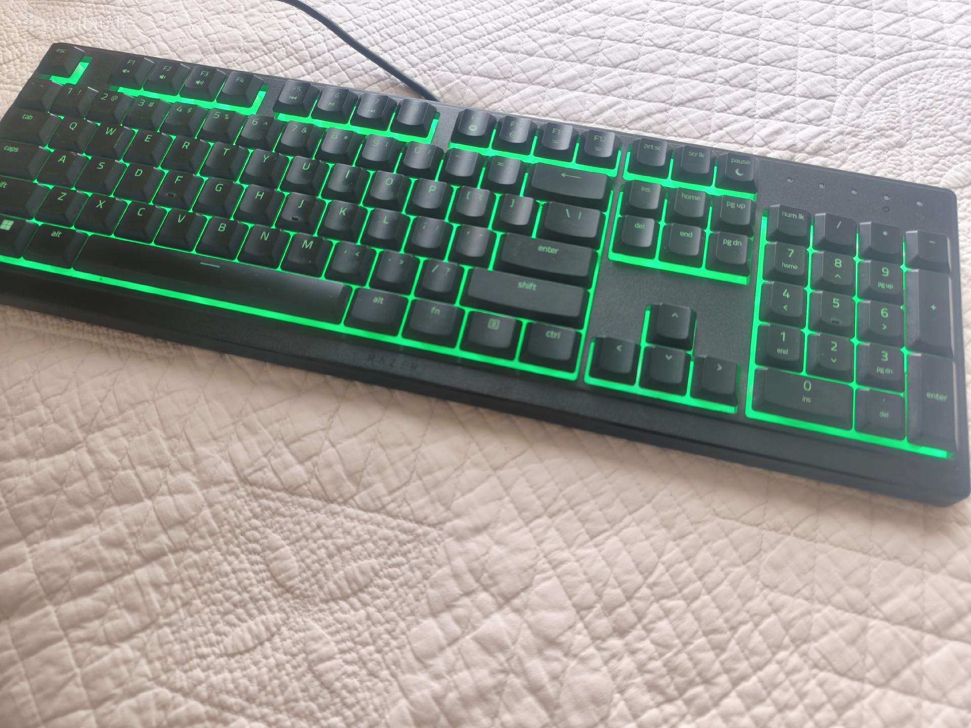 Razer ornata v3 x