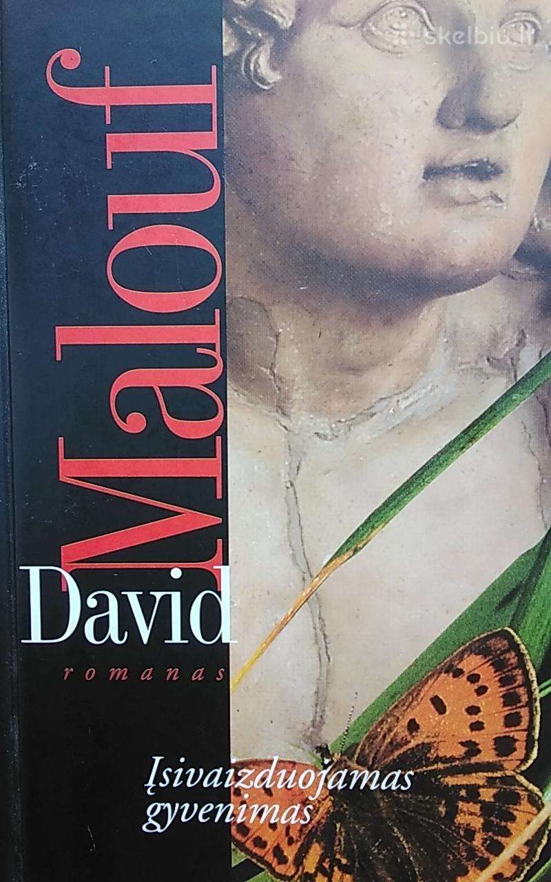 Įsivaizduojamas gyvenimas