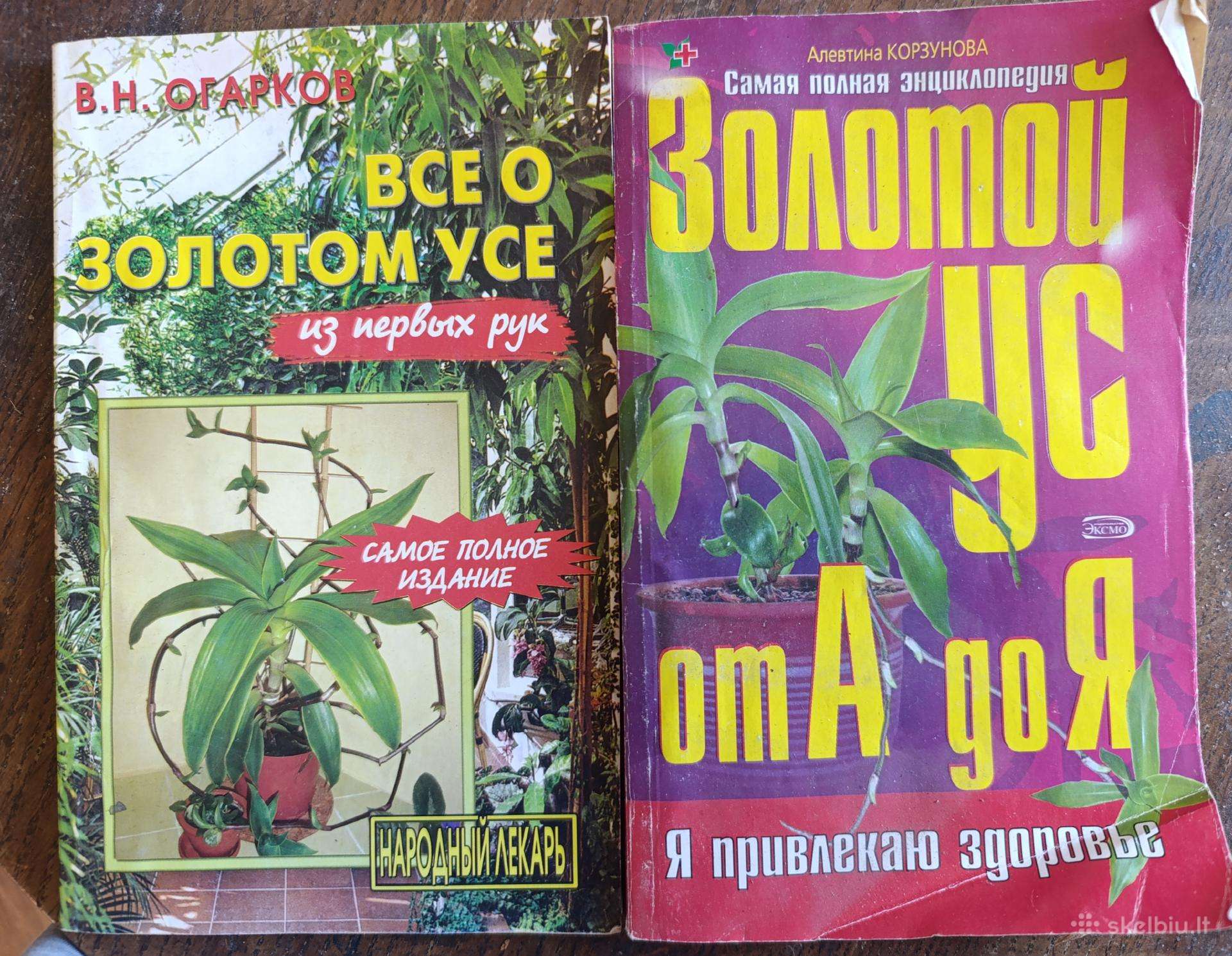 Knygos apie Auksinis ūsą
