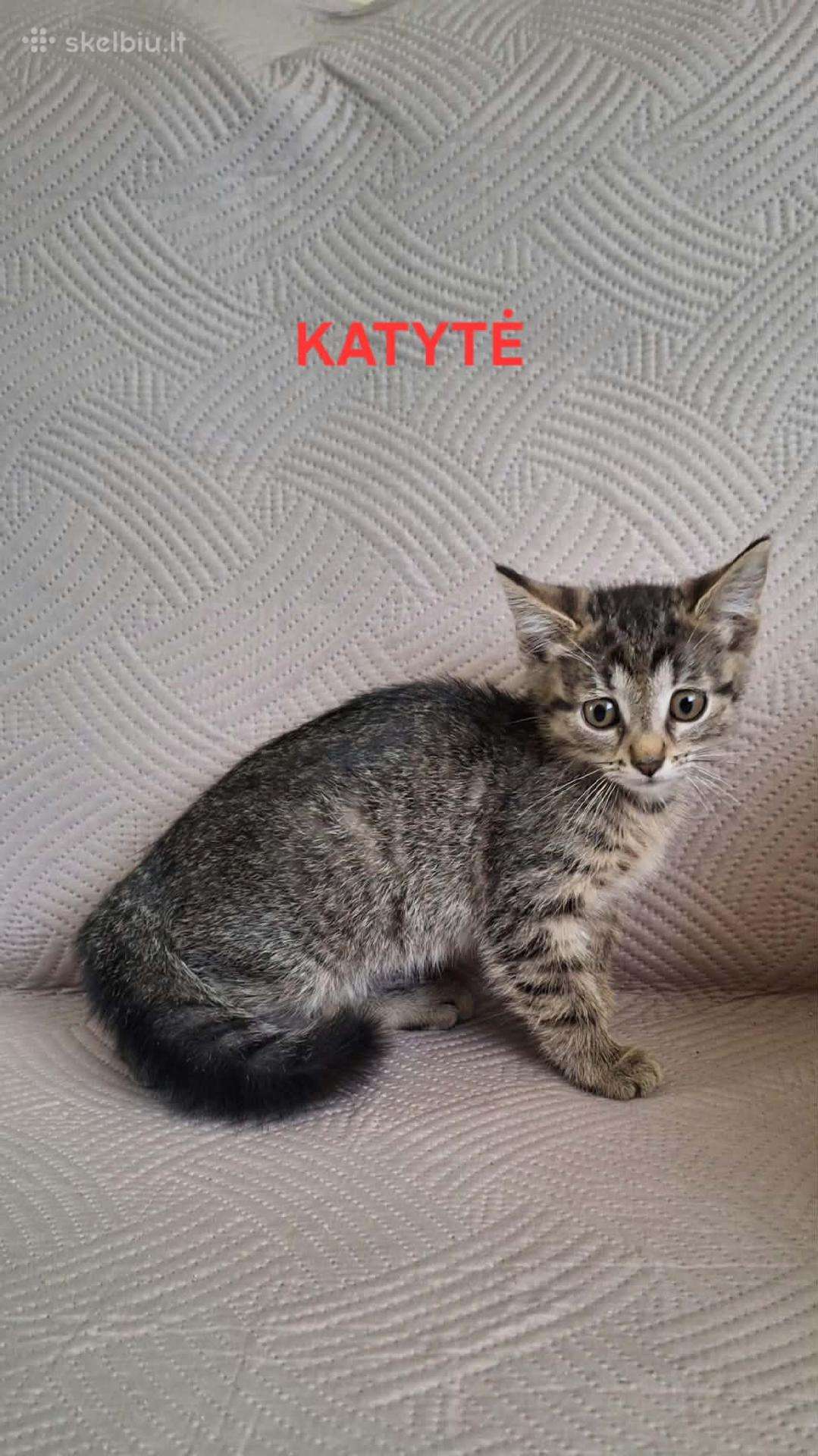 Atiduodami kačiumai