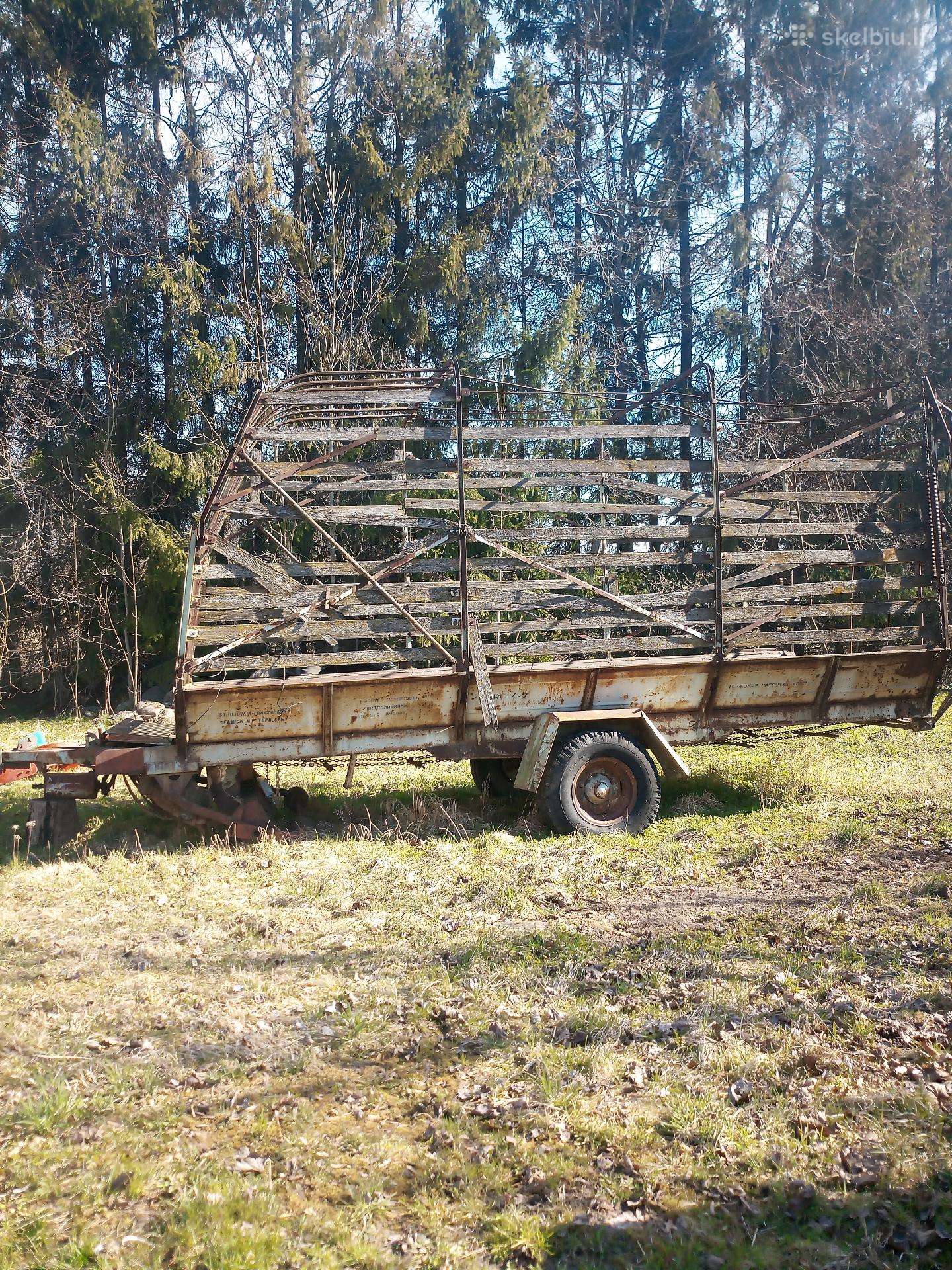 Dalys plugo