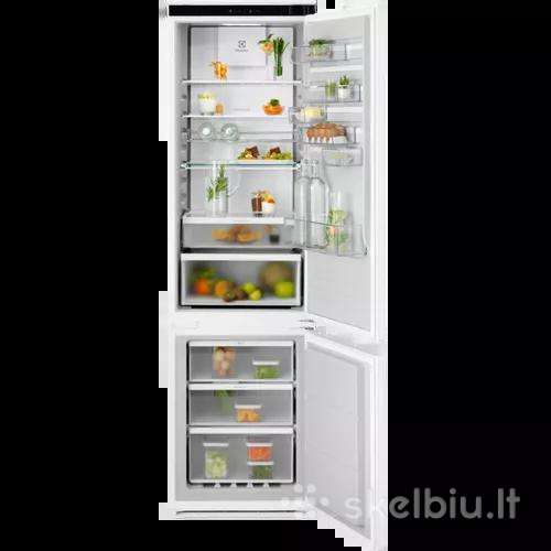 Montuojamas šaldytuvas Electrolux Ent6me19s