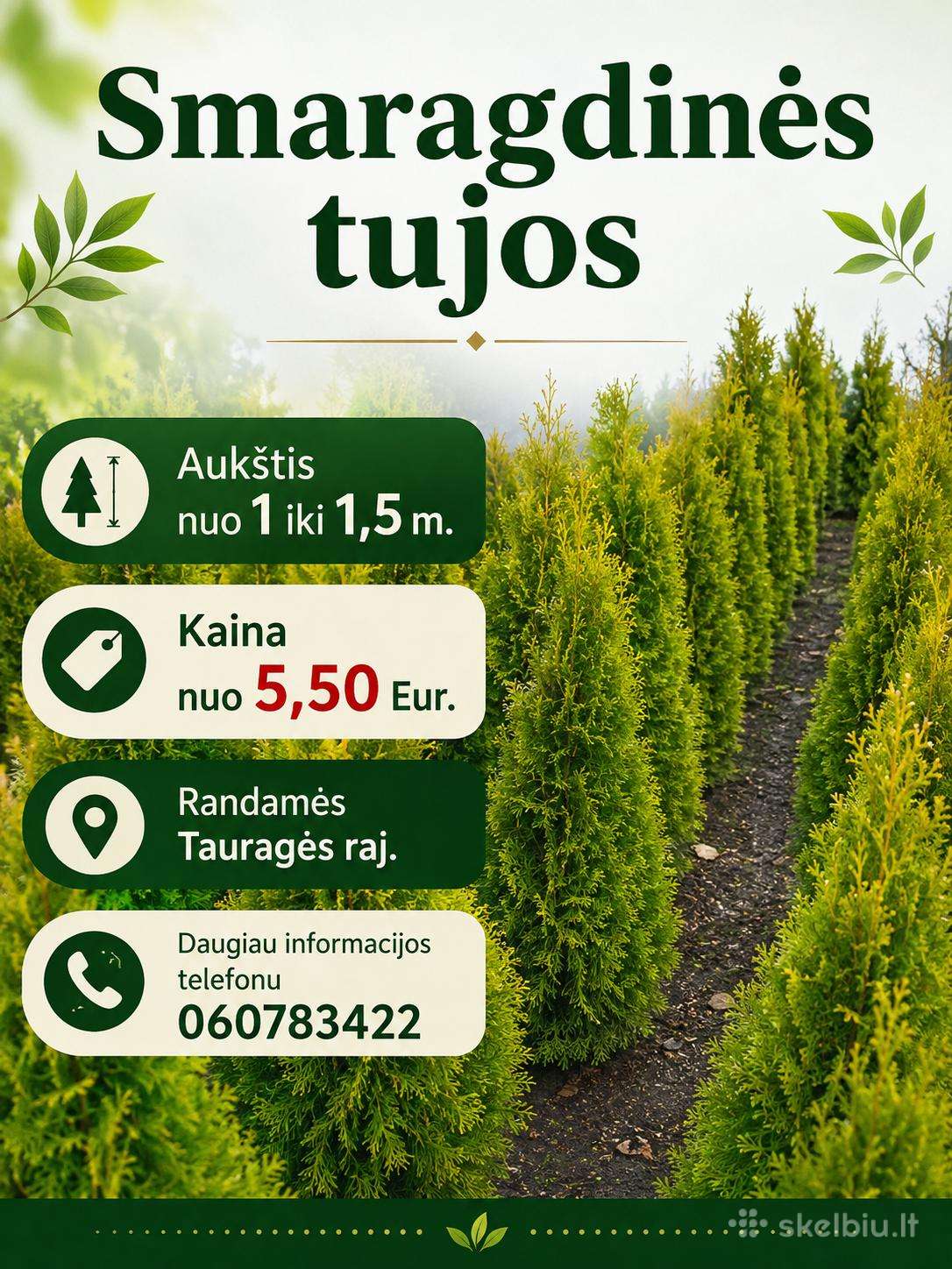 Tujos