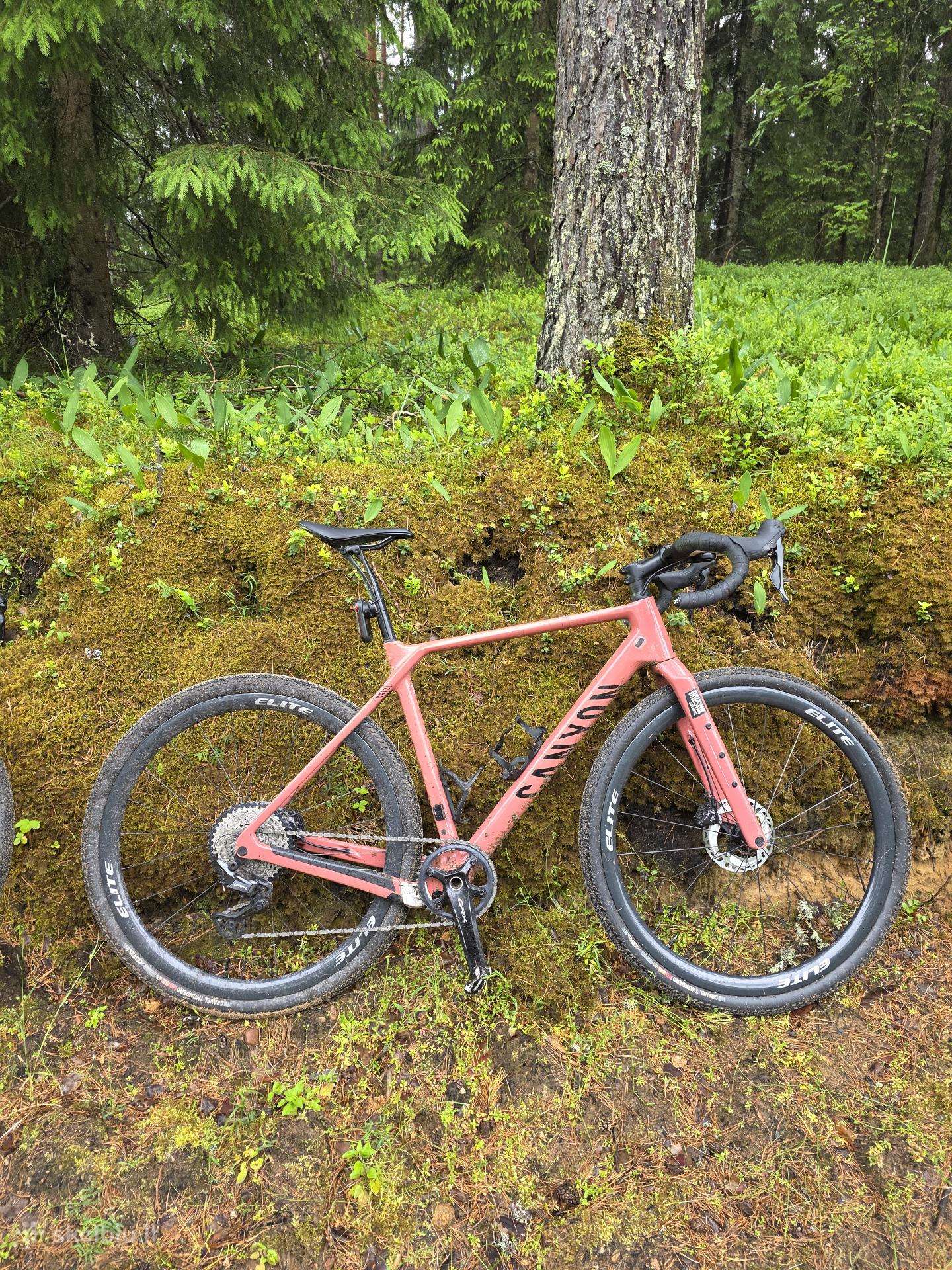 Canyon grizl CF sl8