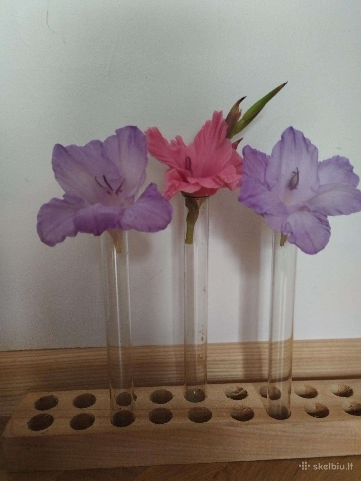 Stikliniai mėgintuvėliai