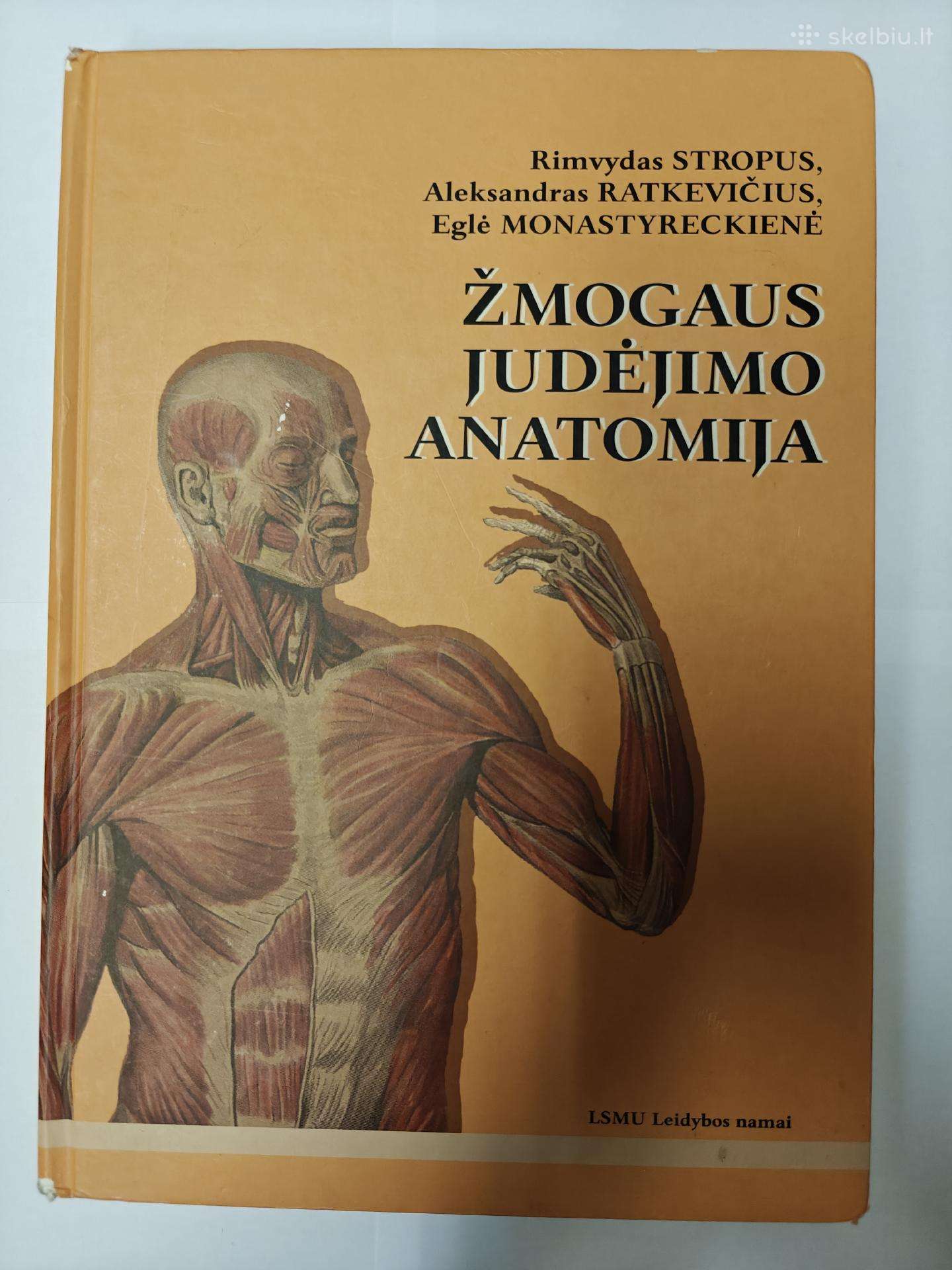 Žmogaus judėjimo anatomija
