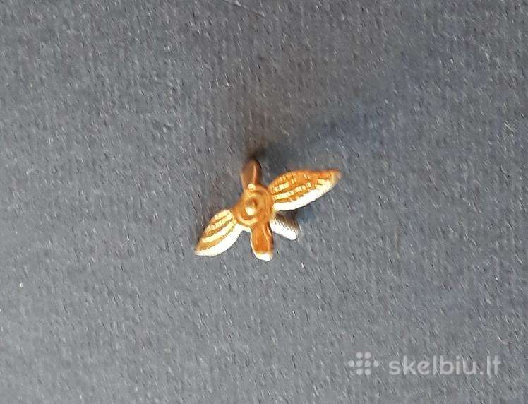 Armija Antsiuvo ženkliukas (3) Aviacija