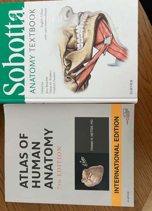 Anatomijos vadovėlis