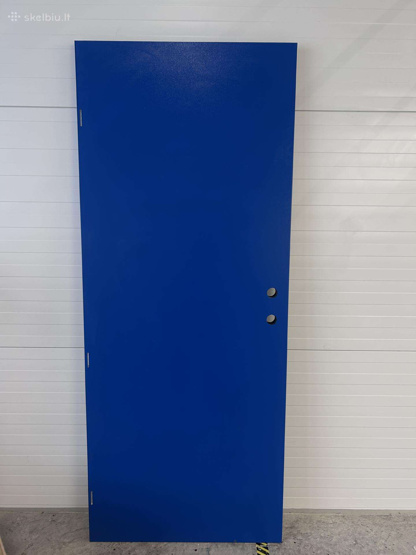 Ryterna durys 200x84, mėlynos, metalinės