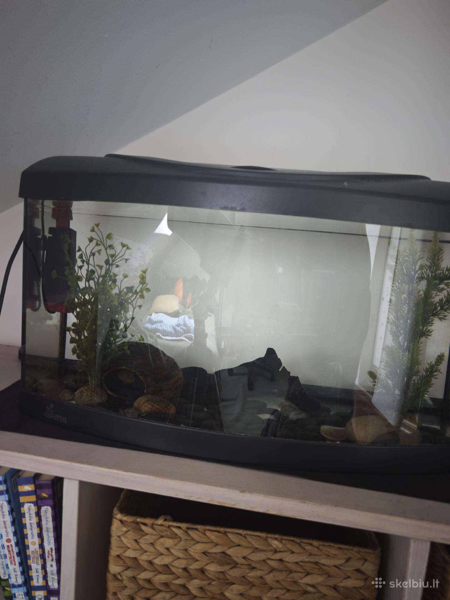 40l akvariumas