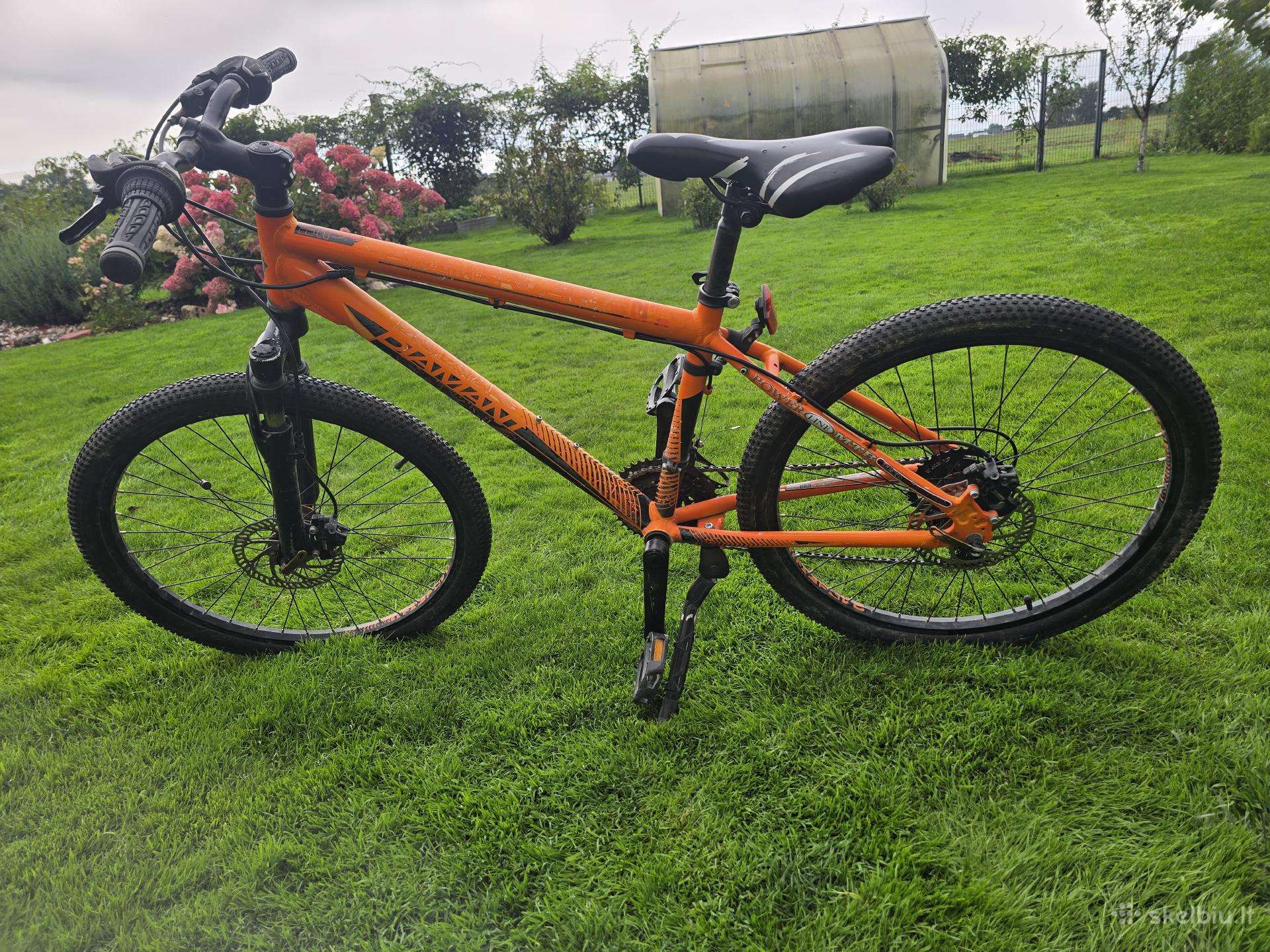 Dviratis Diamant 24 " berniukiui