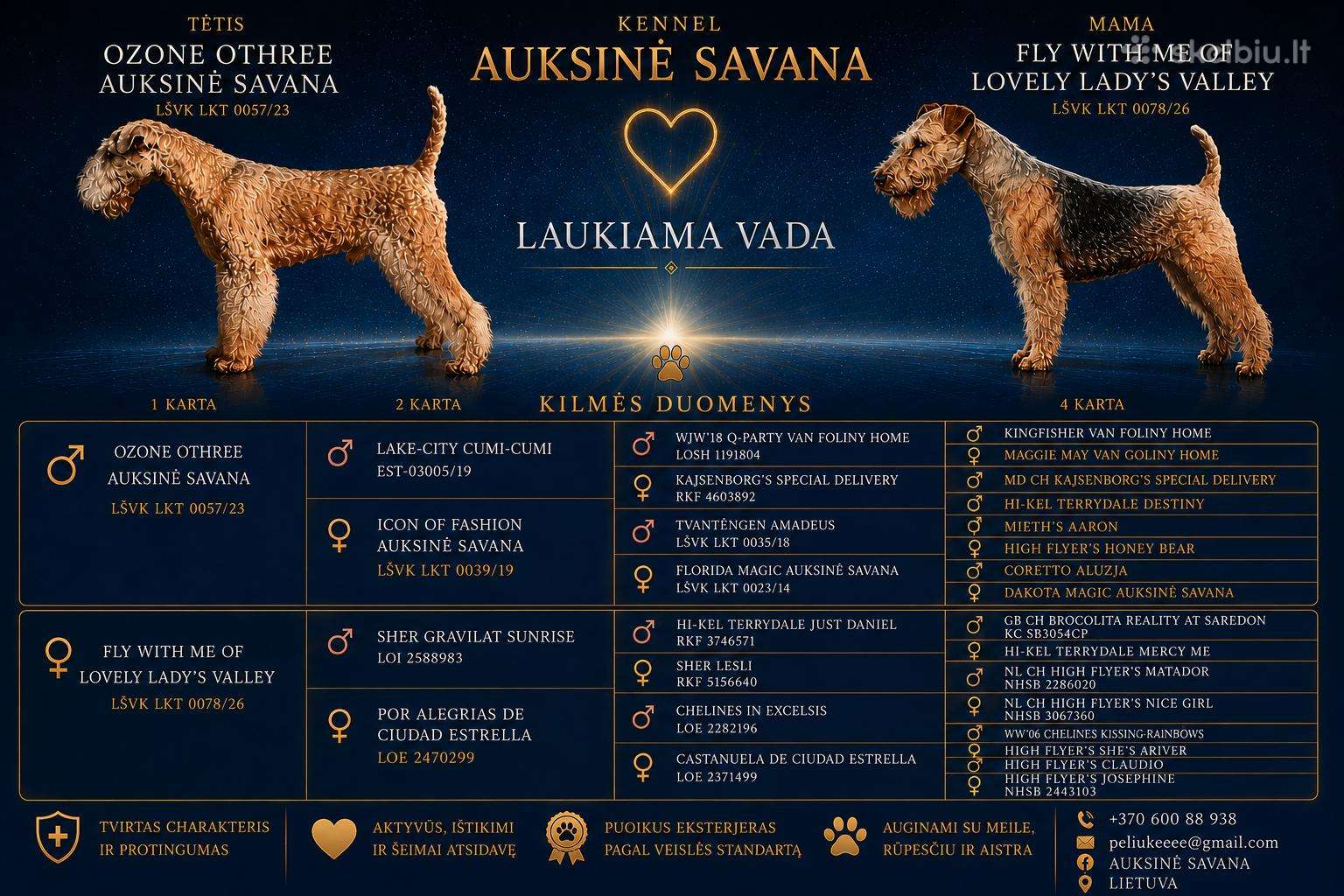 Planuojama Leiklendo terjerų vada
