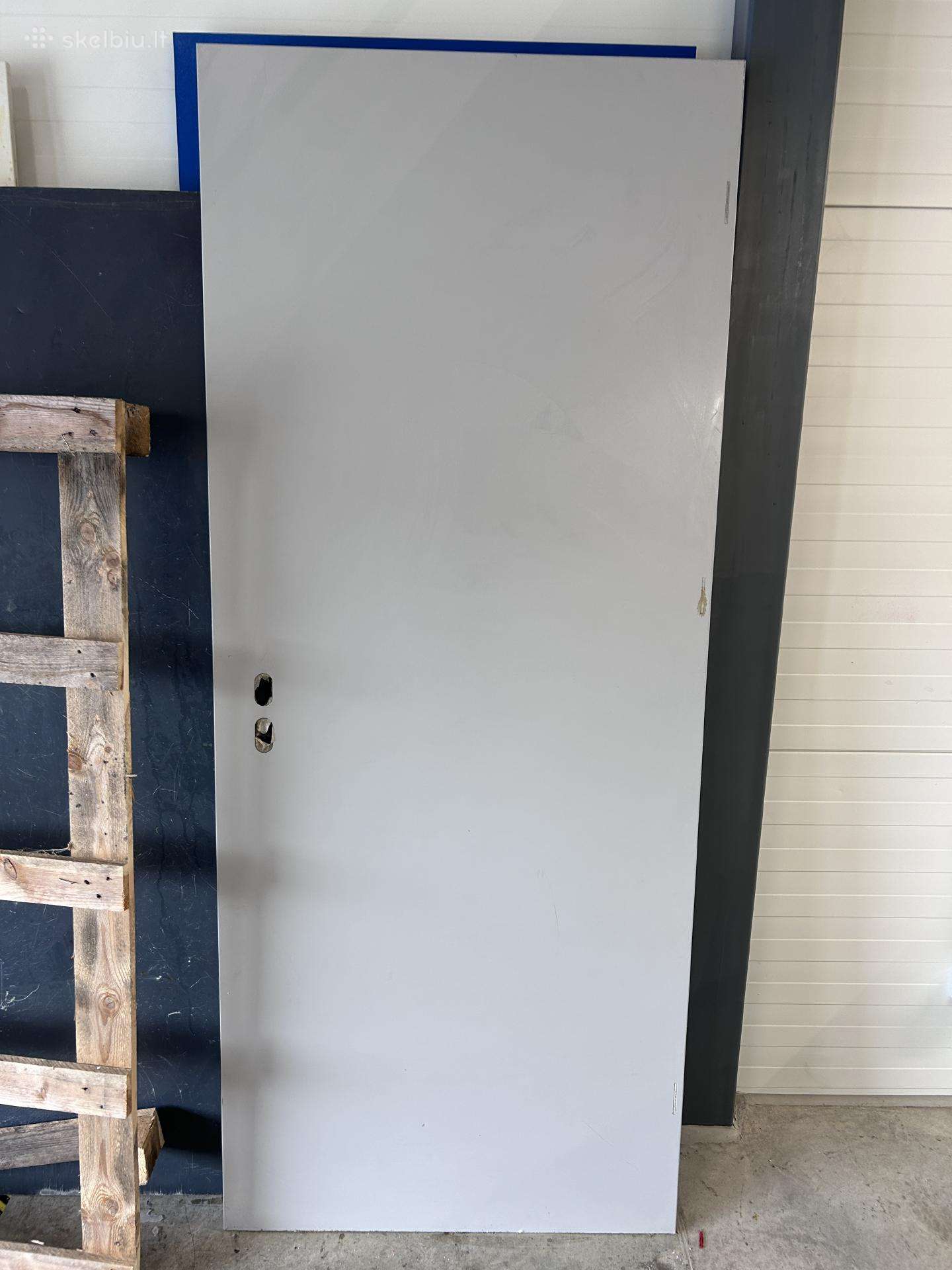 Ryterna durys 200x84, sidabrinės, metalinės