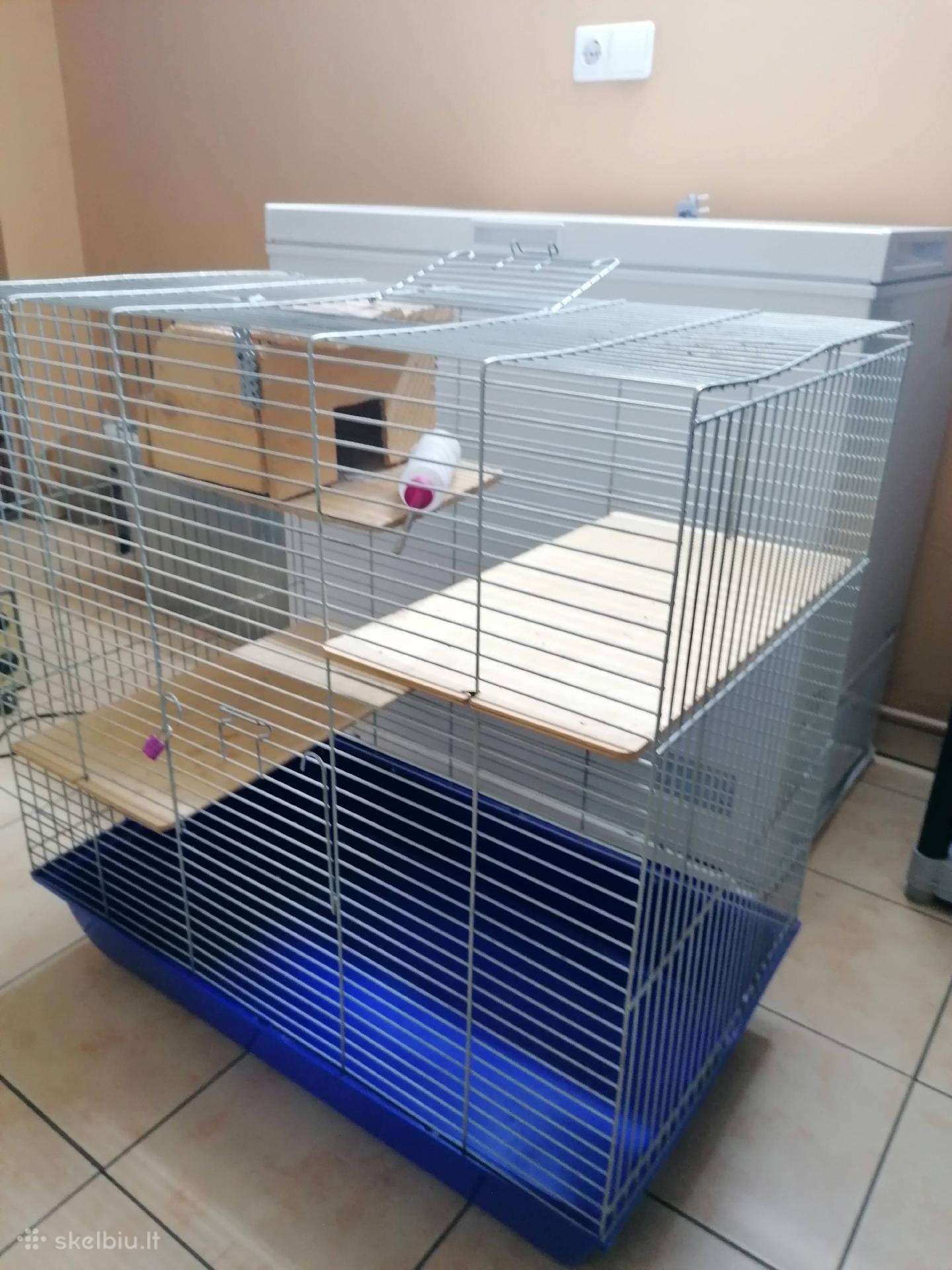 Šinšilos narvas