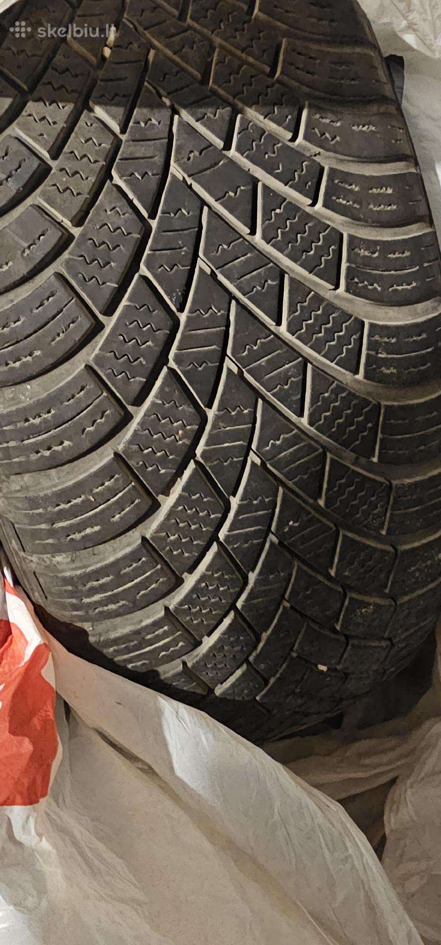 Nexen winguard snow g3 padangos