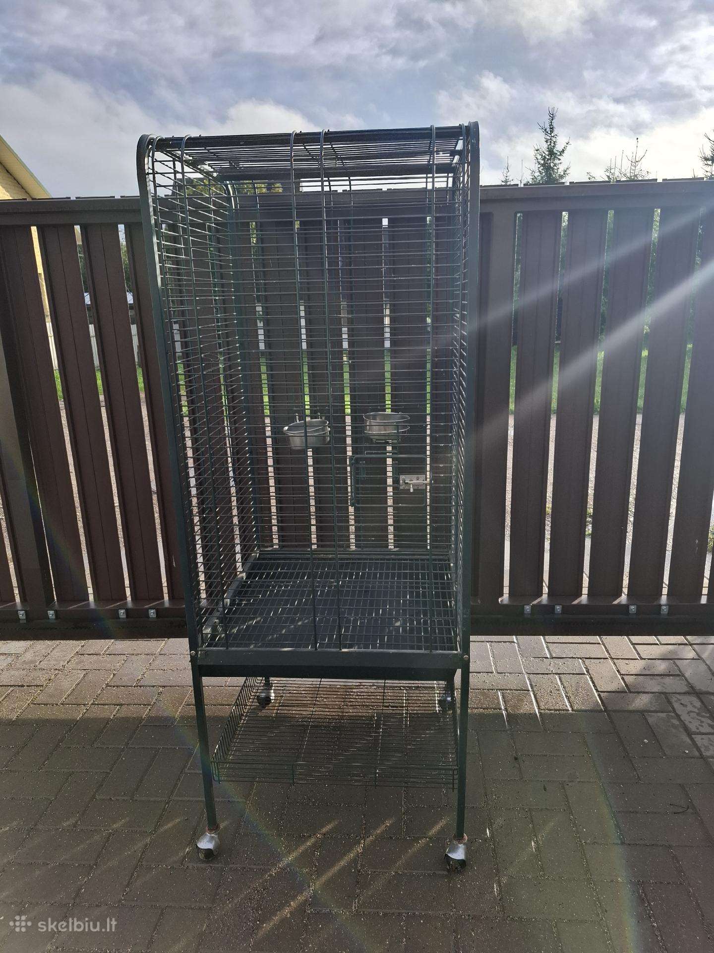 Didelis narvas paukščiui