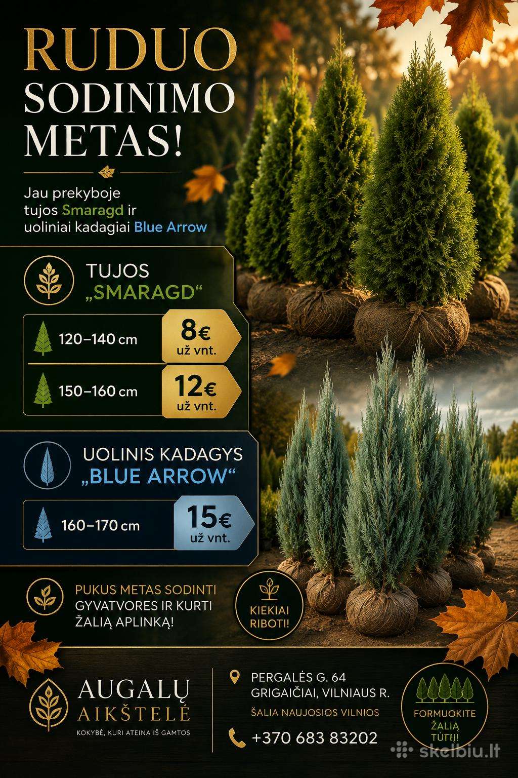 Ruduo – Puikus Metas Sodinti!