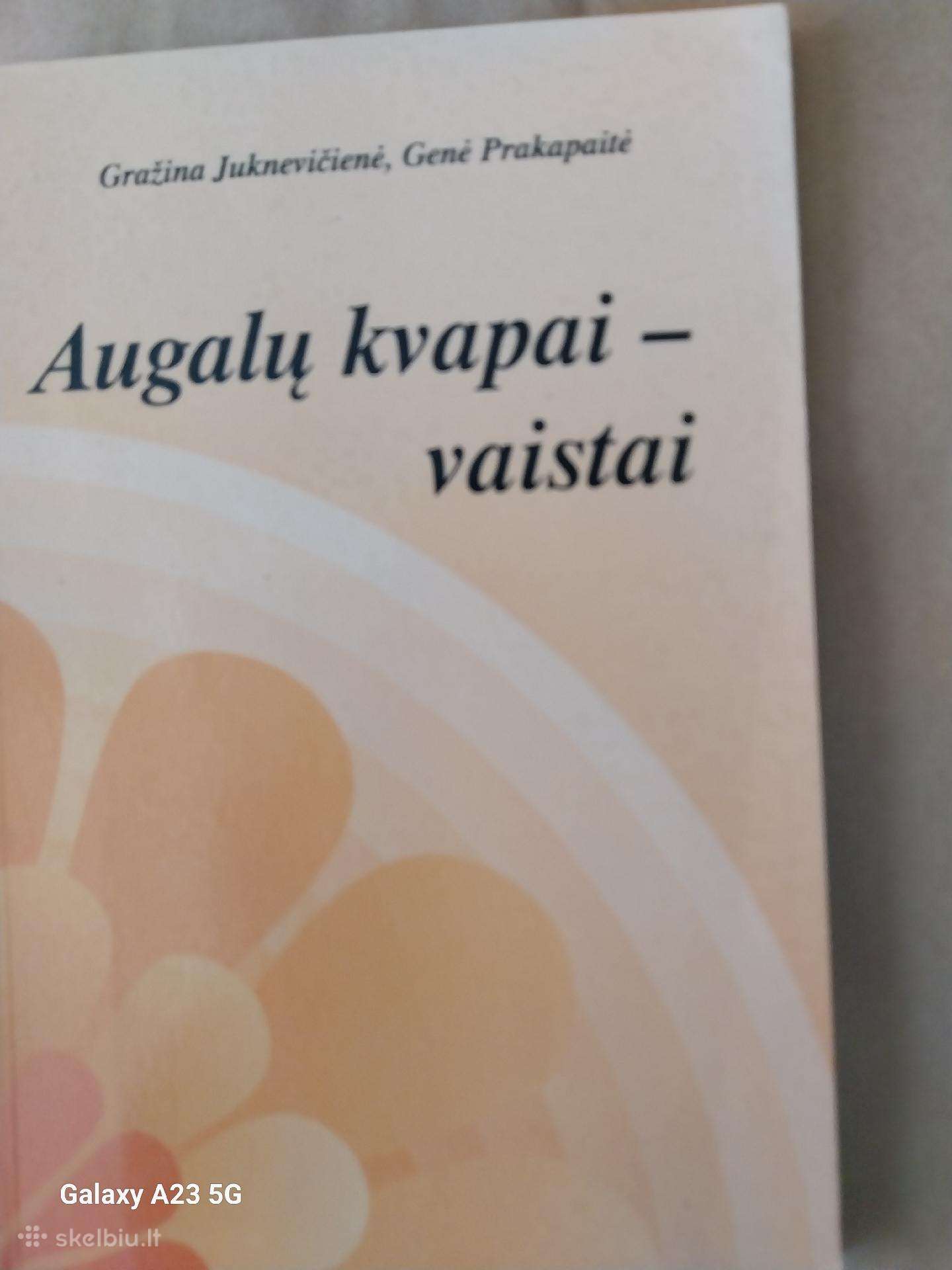 Knyga