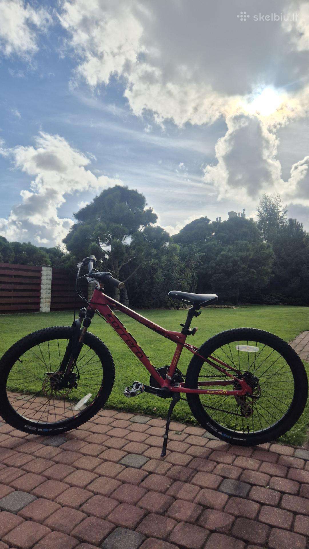 Mountain bike Carrera 24″