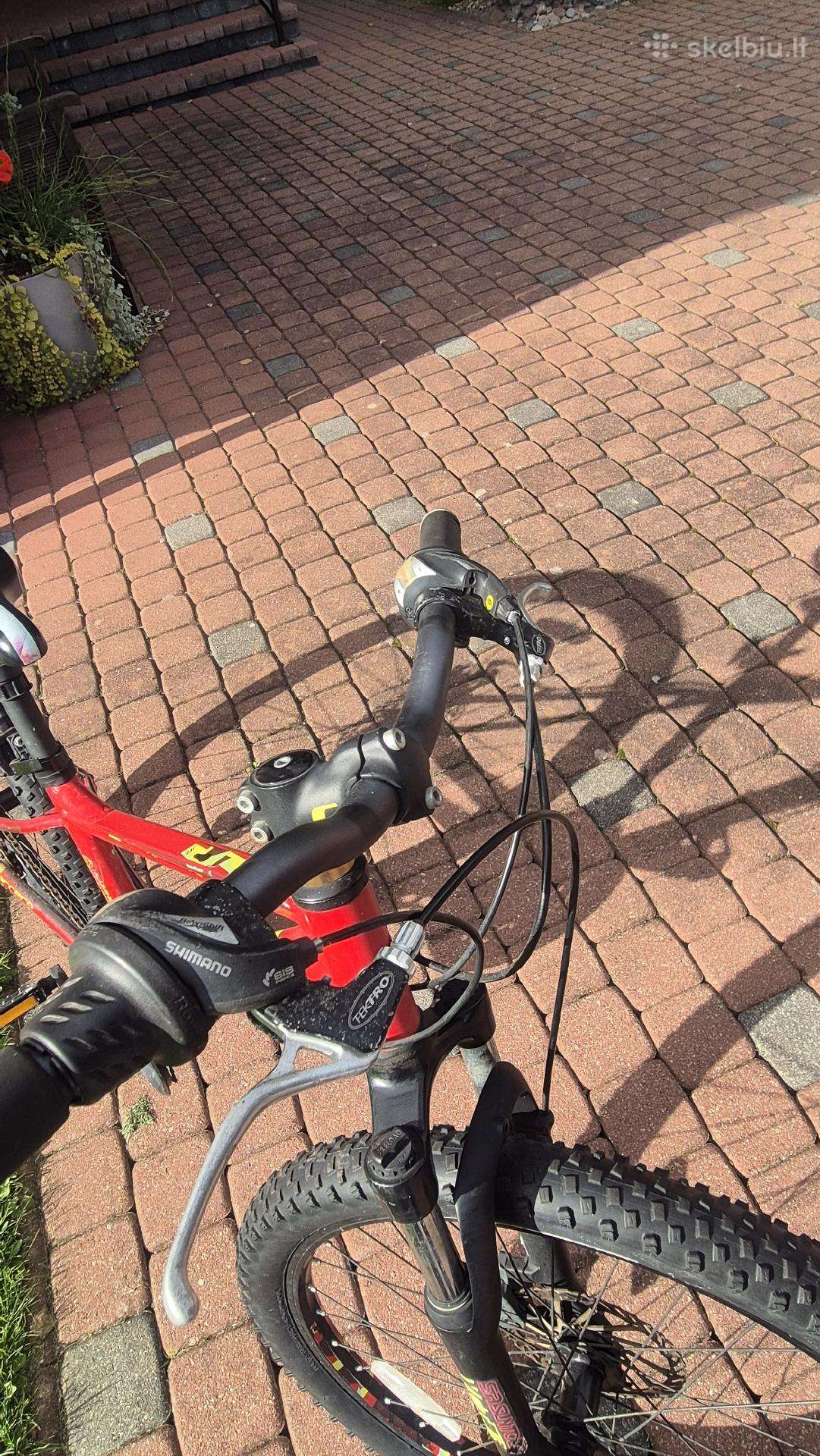 Mountain bike Carrera 24″