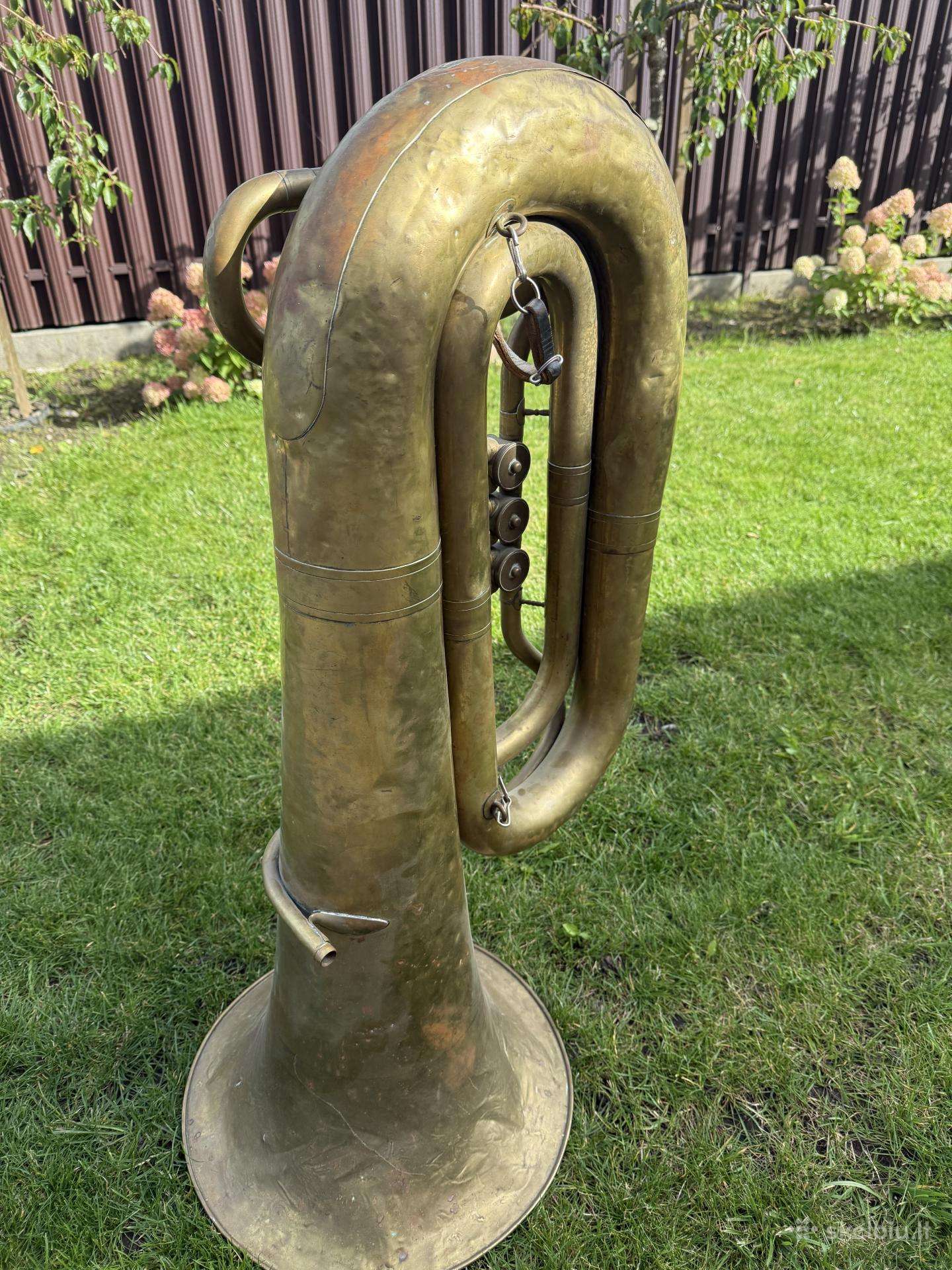 Didele tuba