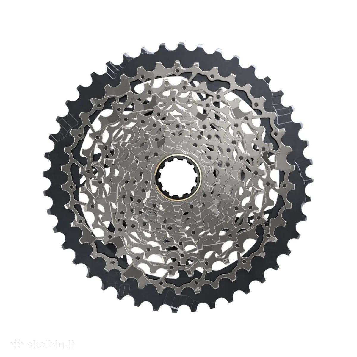 Sram dalys