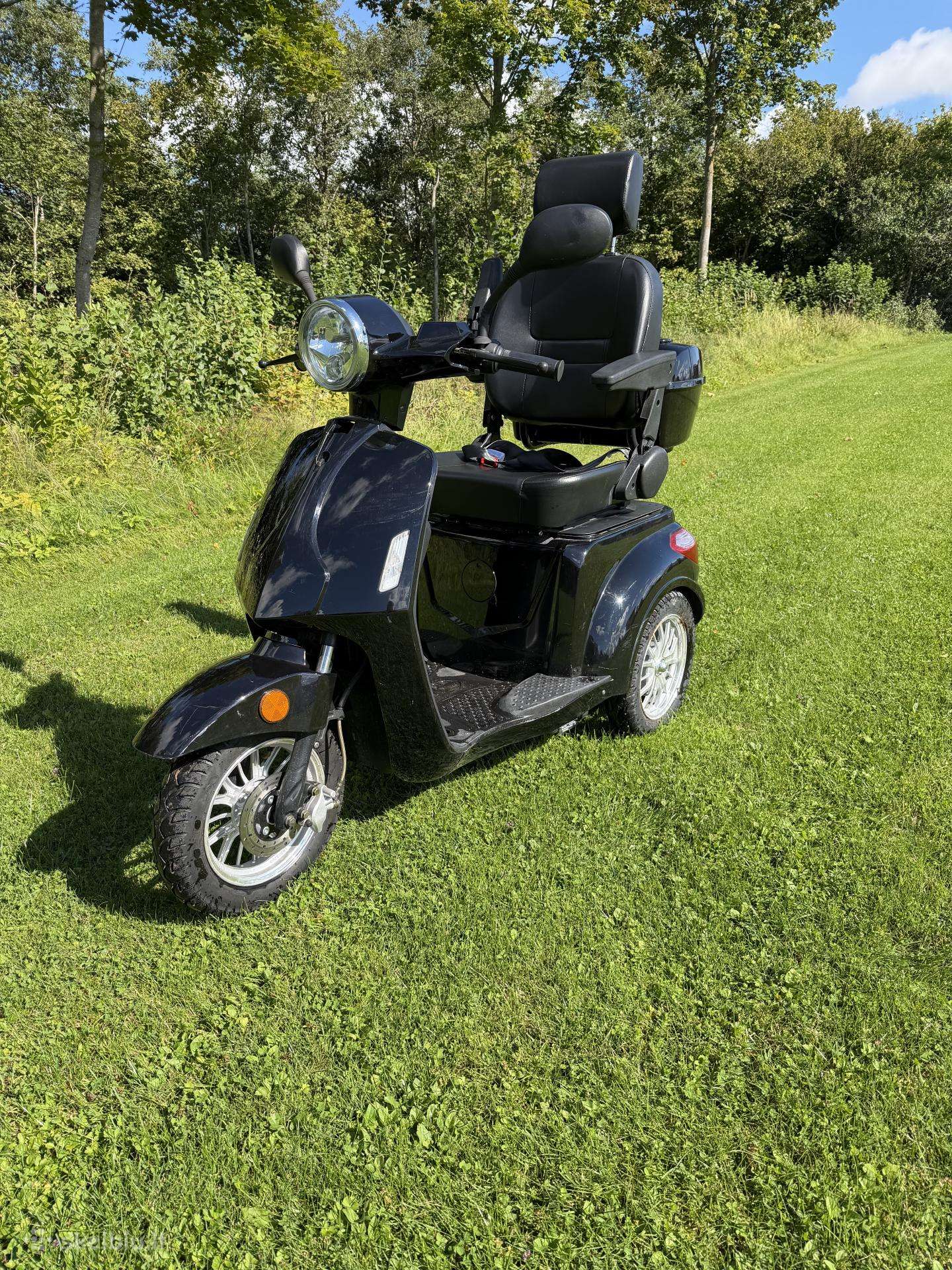 Scooteris senjoram