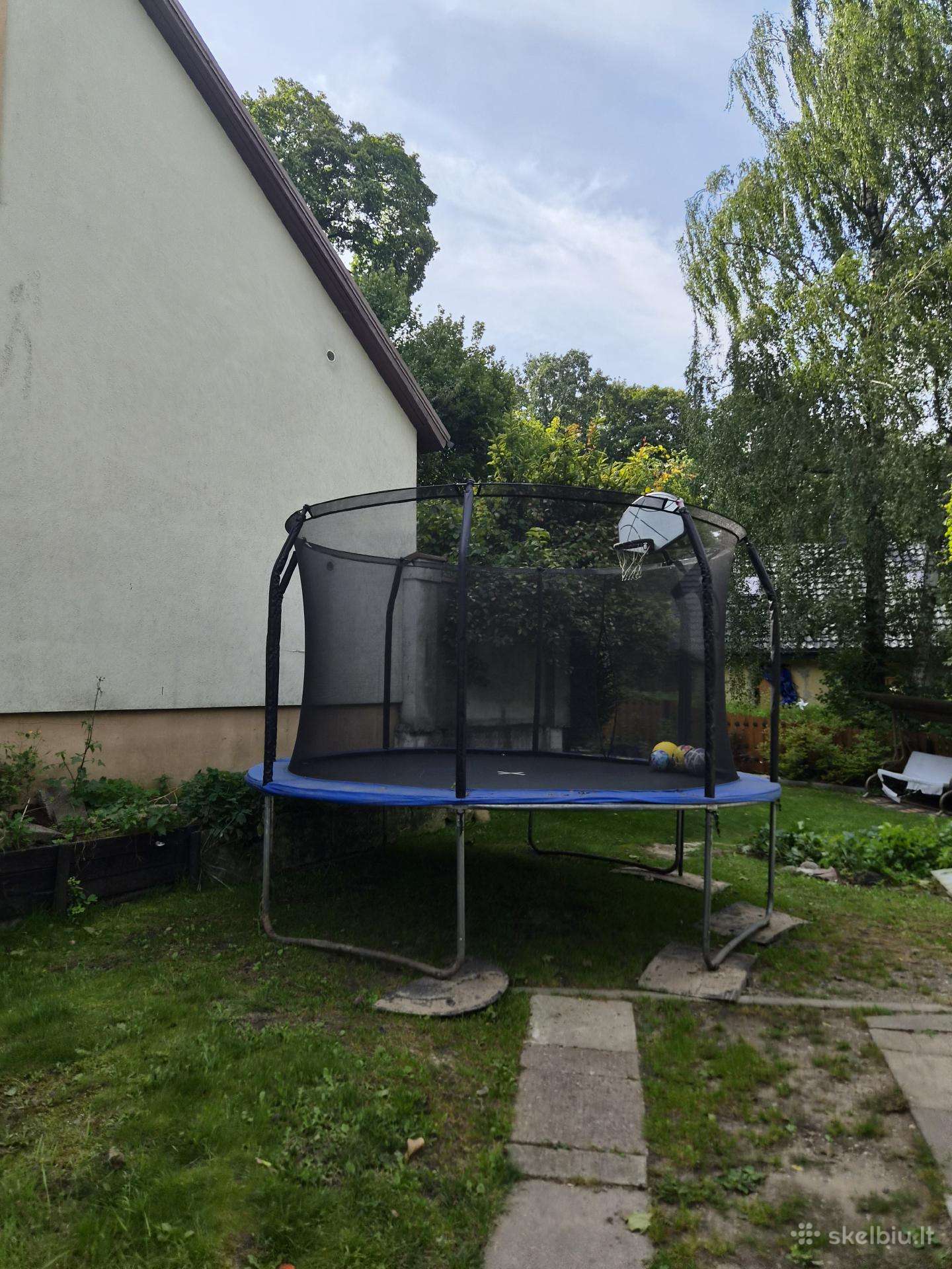 Batutas 360