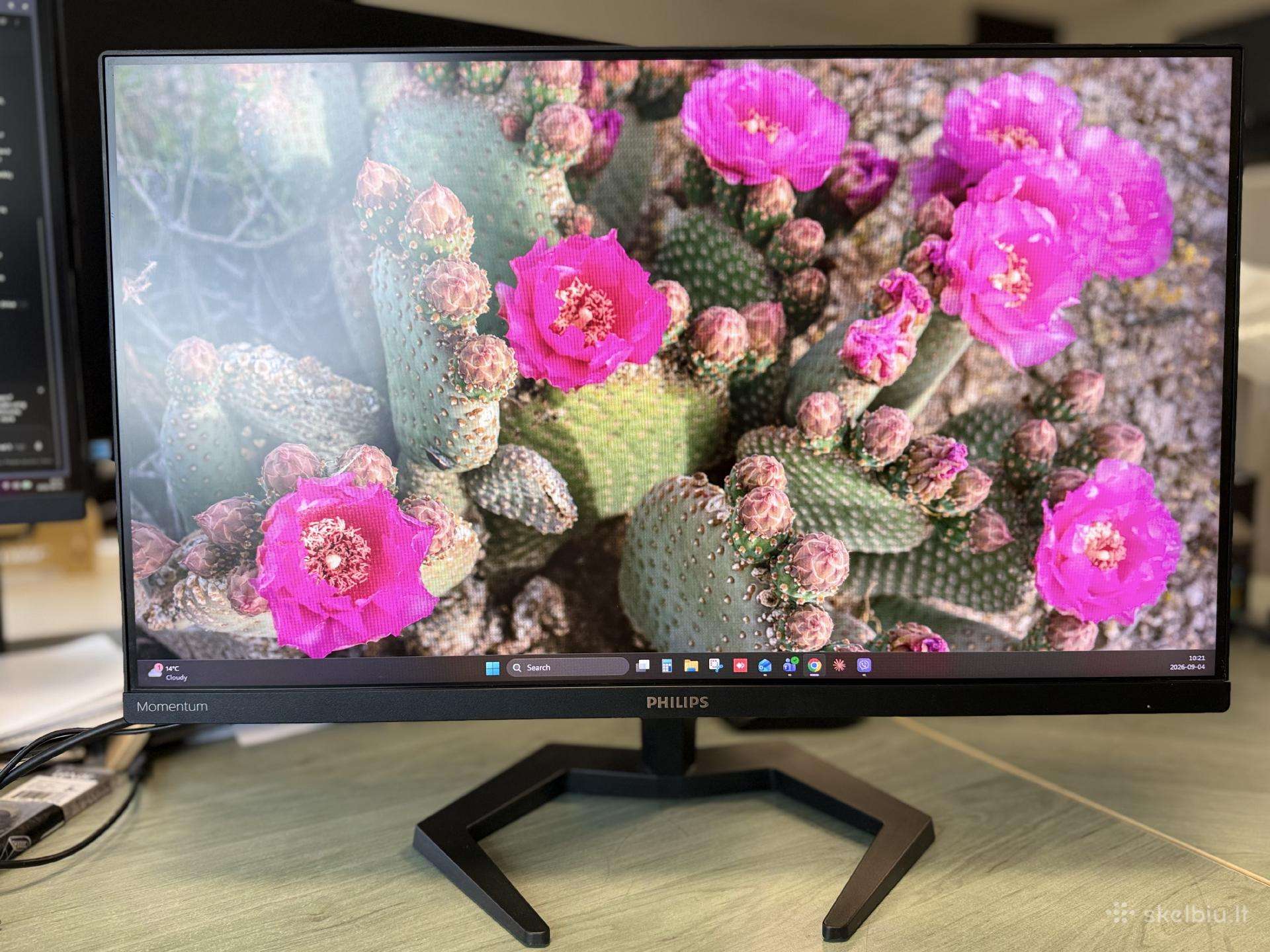 Philips Evnia Gaming 24