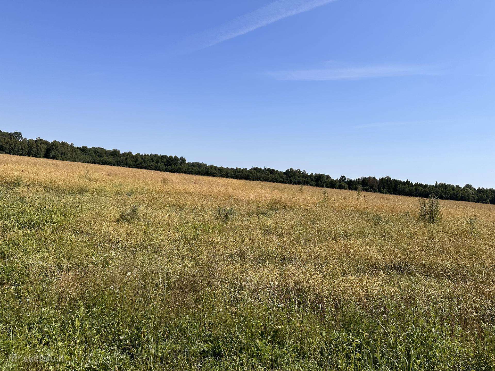 Žemė 18,46 Kauno raj. Vandžiogalos sen. Pagirių k