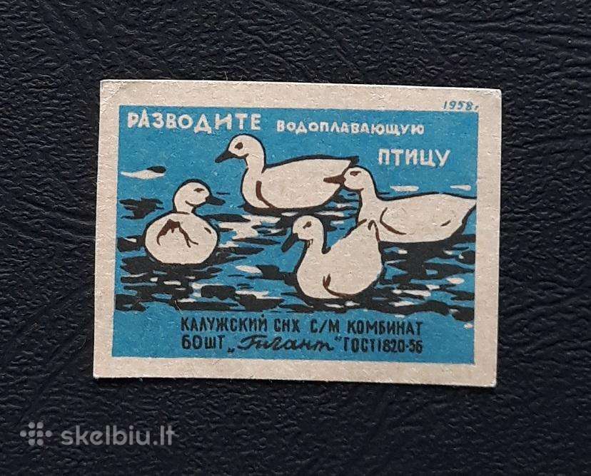 Degtukų etiketė 1958 Widlife 14-2