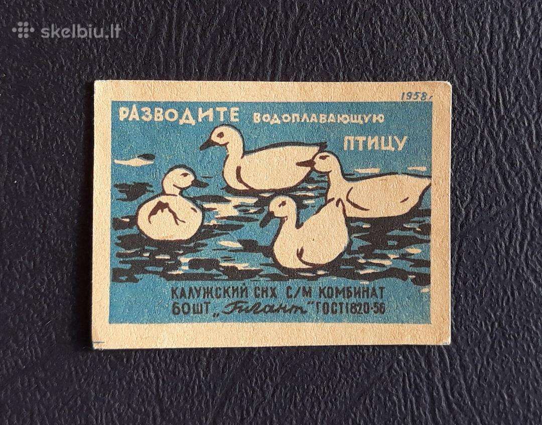 Degtukų etiketė 1958 Widlife 14-6