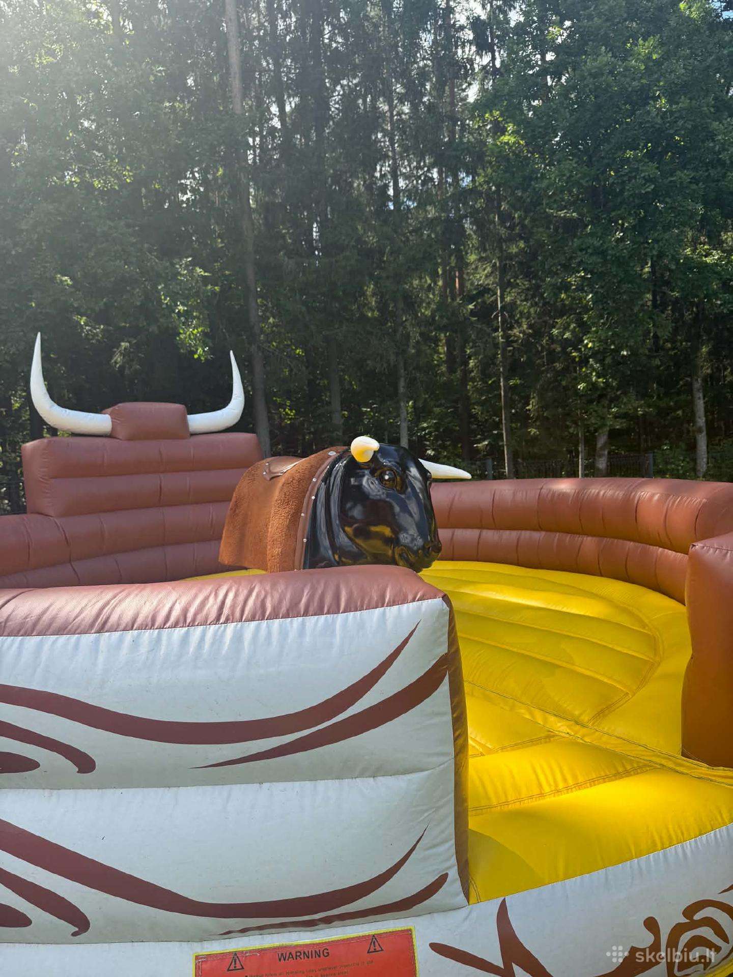 Rodeo bulius