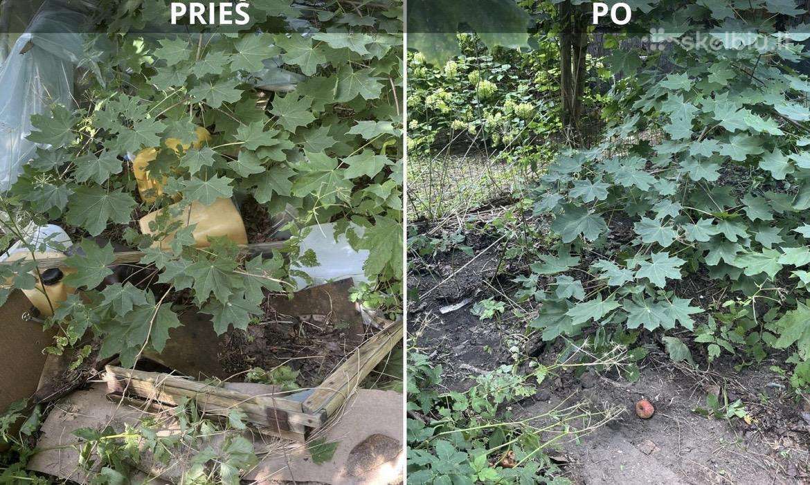 Perkraustymos paslaugos,baldų išvežimas