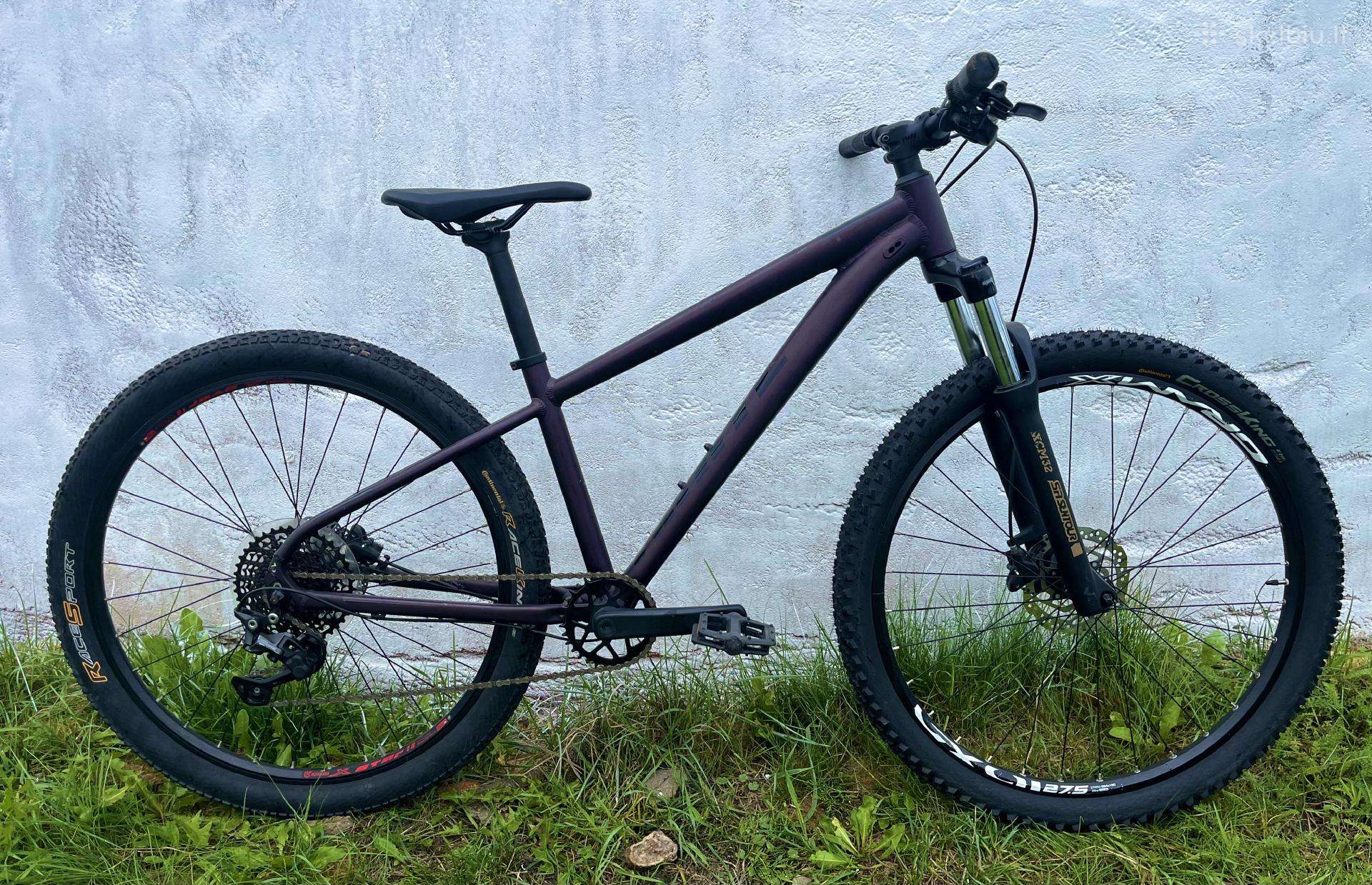 White XC Comp, 2024